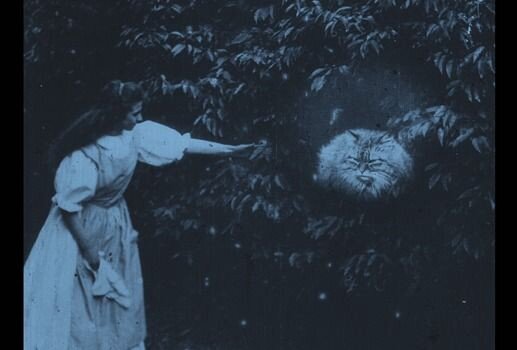 The “cheshire cat” in the 1903 iteration of Alice in Wonderland