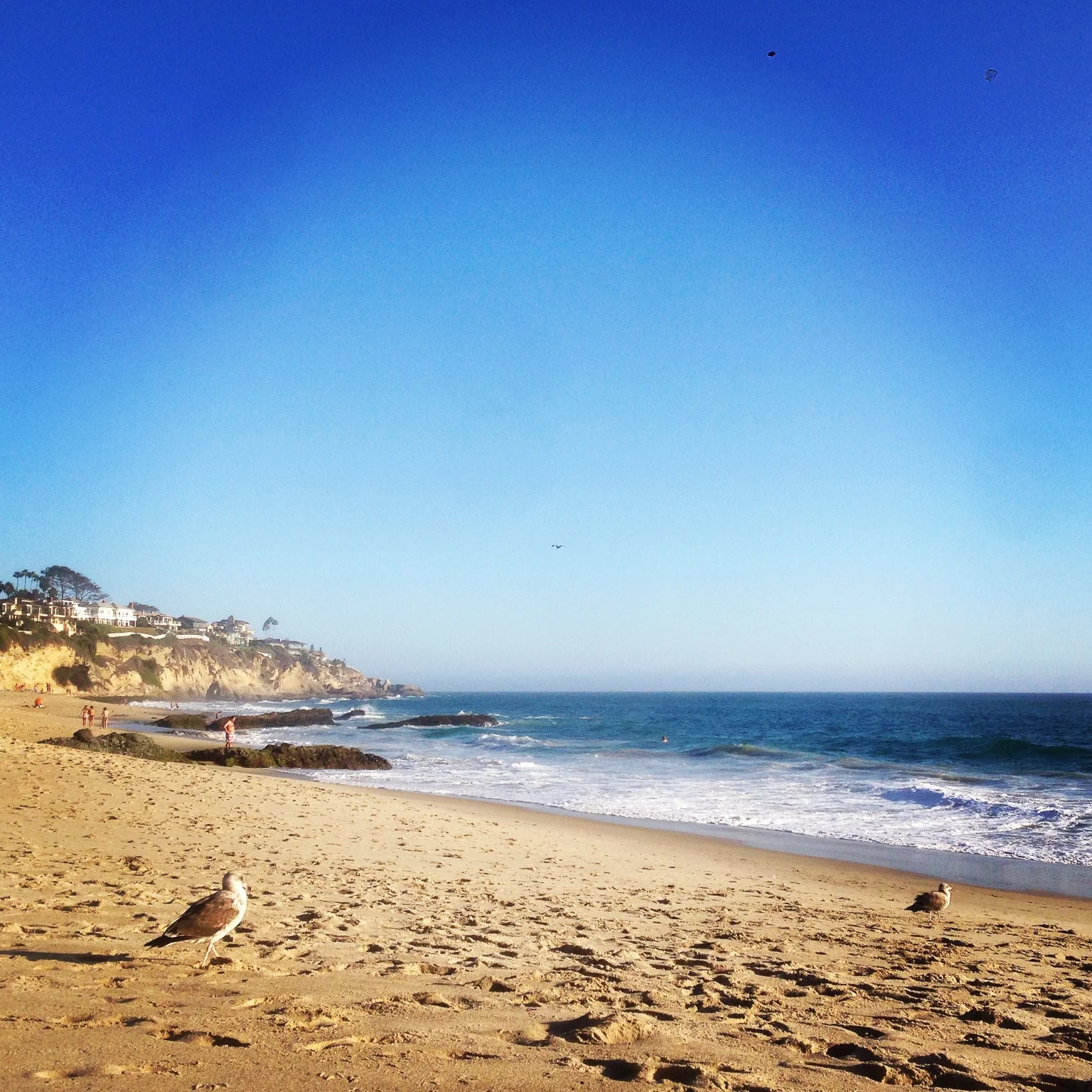 Laguna Beach
