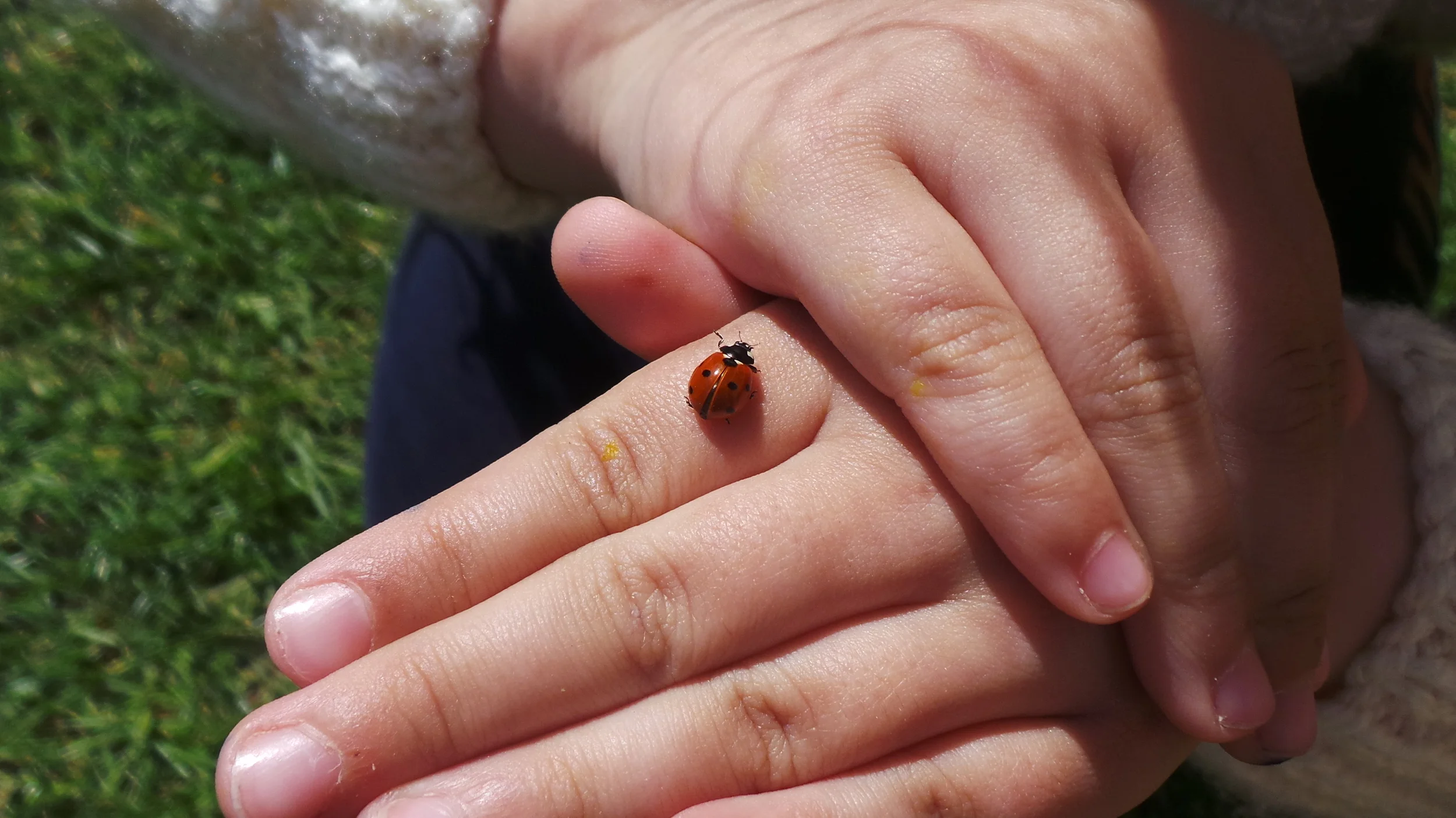 2014-04-15 12.01.14.jpg