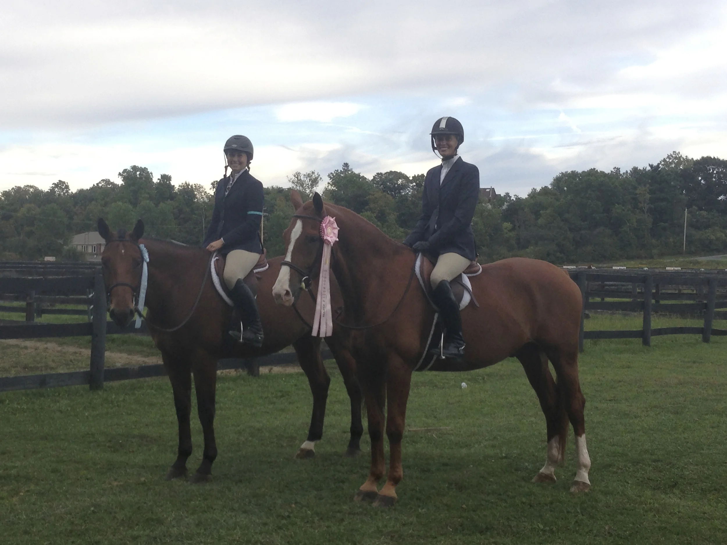 Hudson & Laddie Good Boys at M&S Finals 2013
