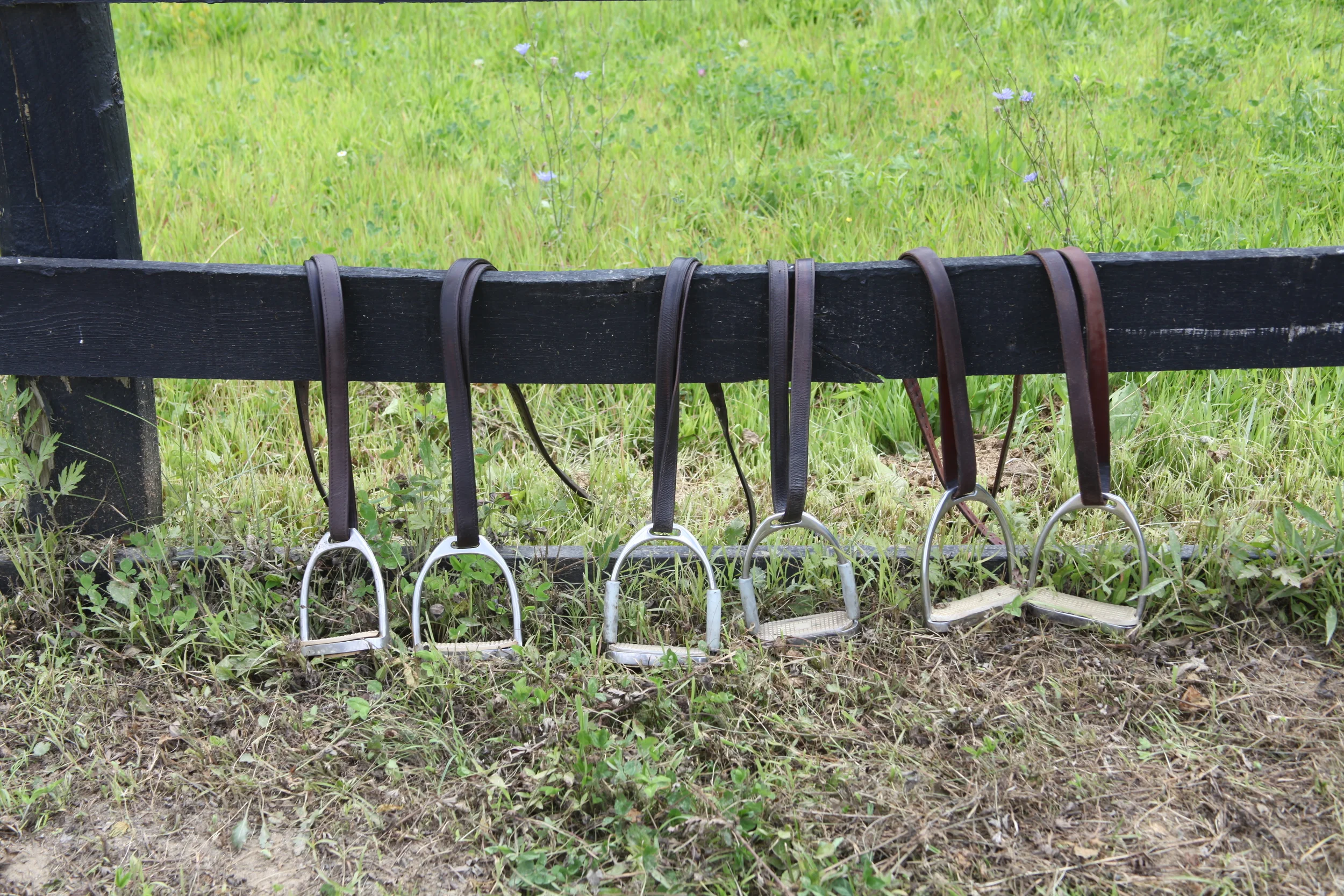 Must be a no stirrup lesson day!