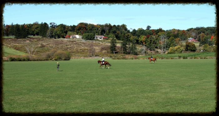 Lessons on the Field at Kirby Hill Farm
