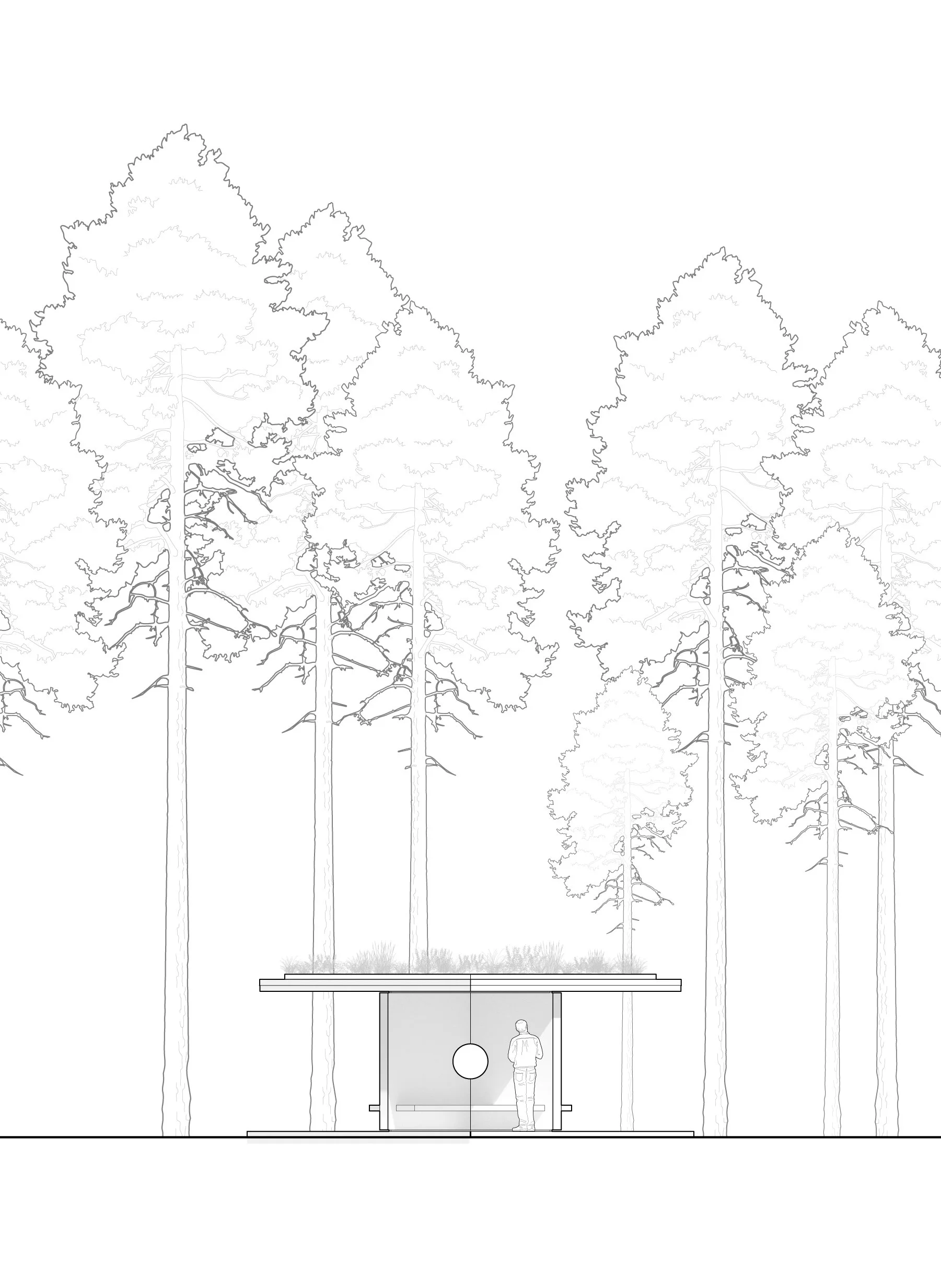 241015_Hut Plan and Elevations-03.jpg