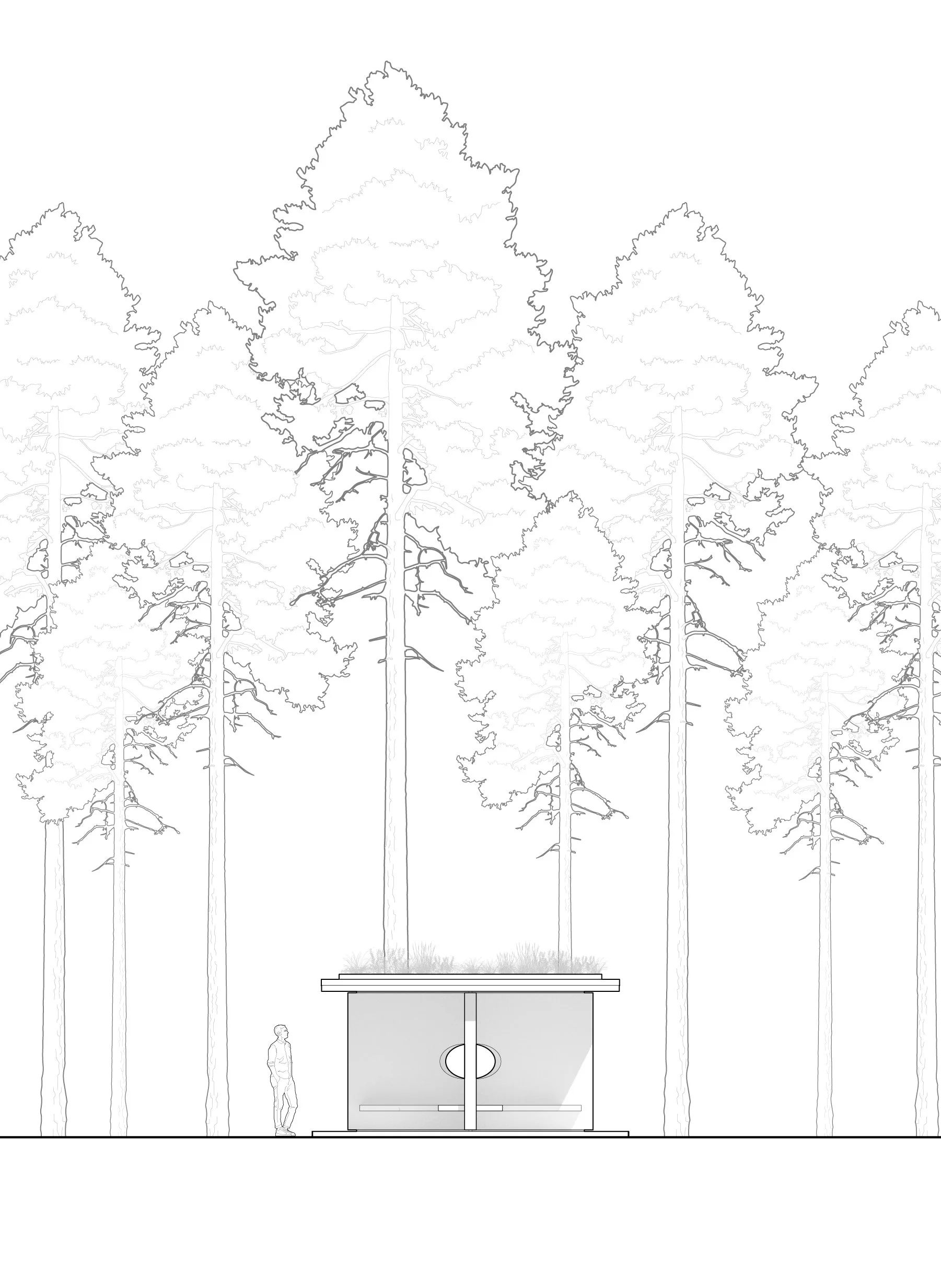 241015_Hut Plan and Elevations-02.jpg