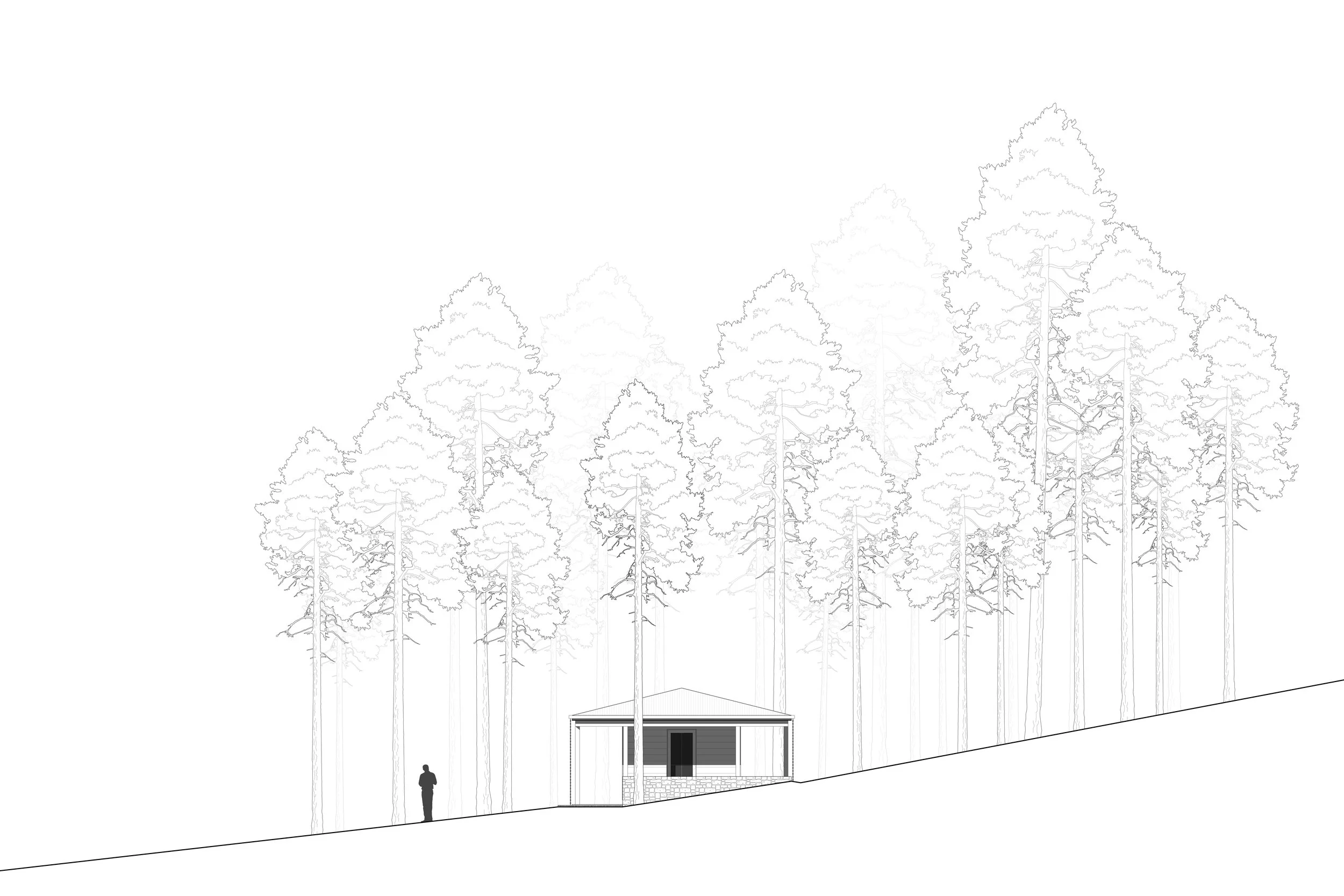 250823_WAL_WSD_Turn Stand-02.jpg