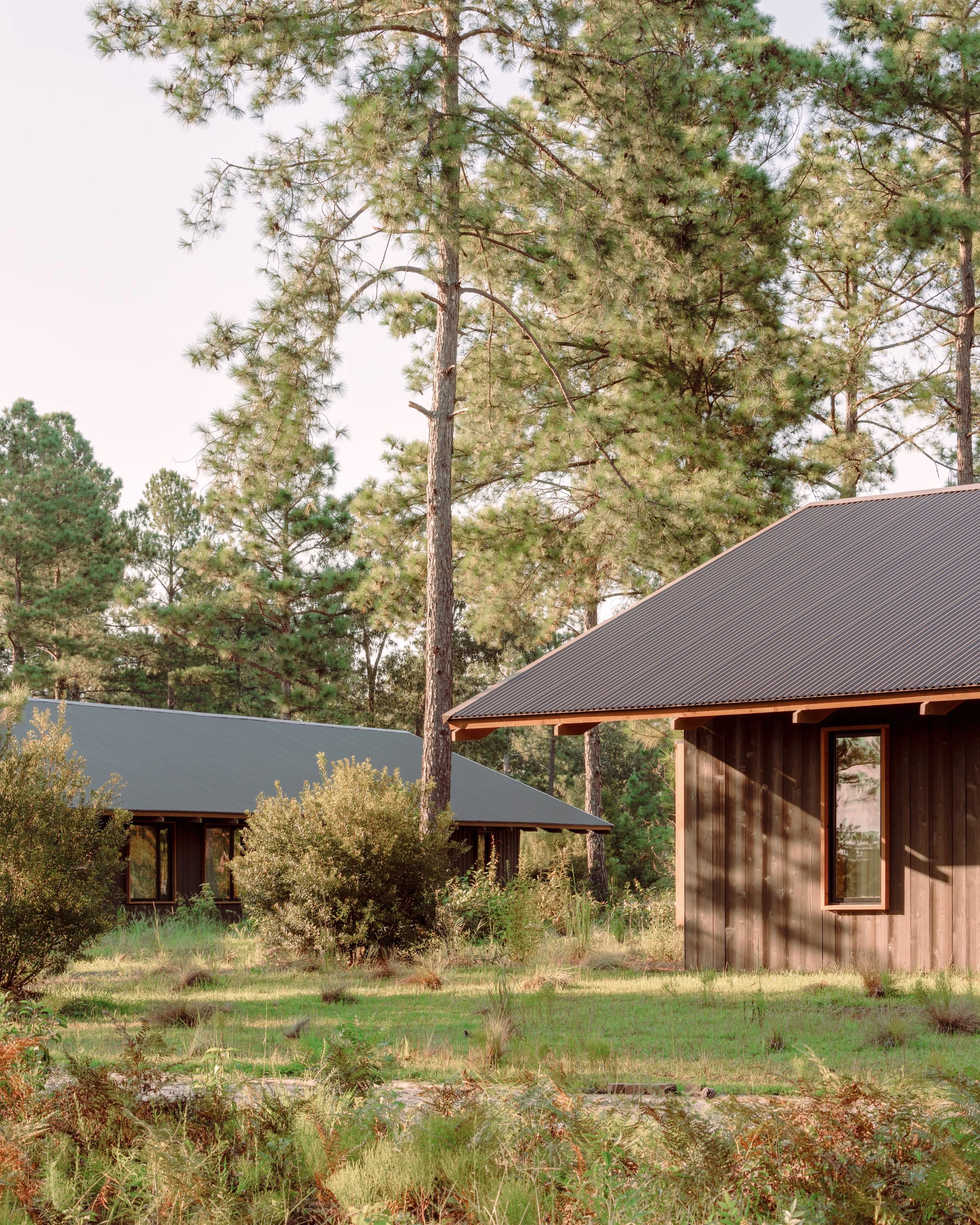 Leonid_Furmansky_Wal_Studio_Rivers_Barden_The_Tree_Farm_Web_ 35.jpg