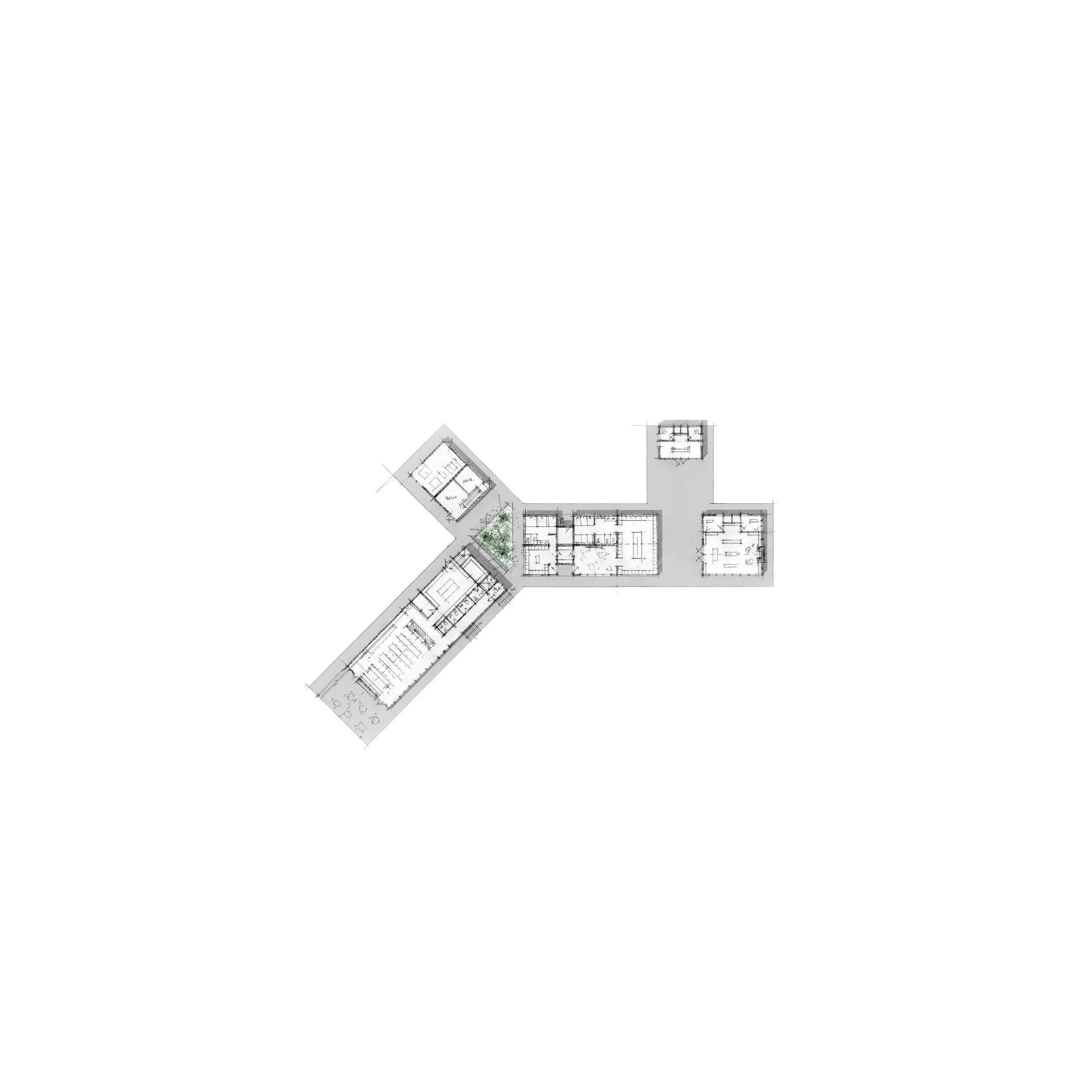 TTF Website Sketch.jpg