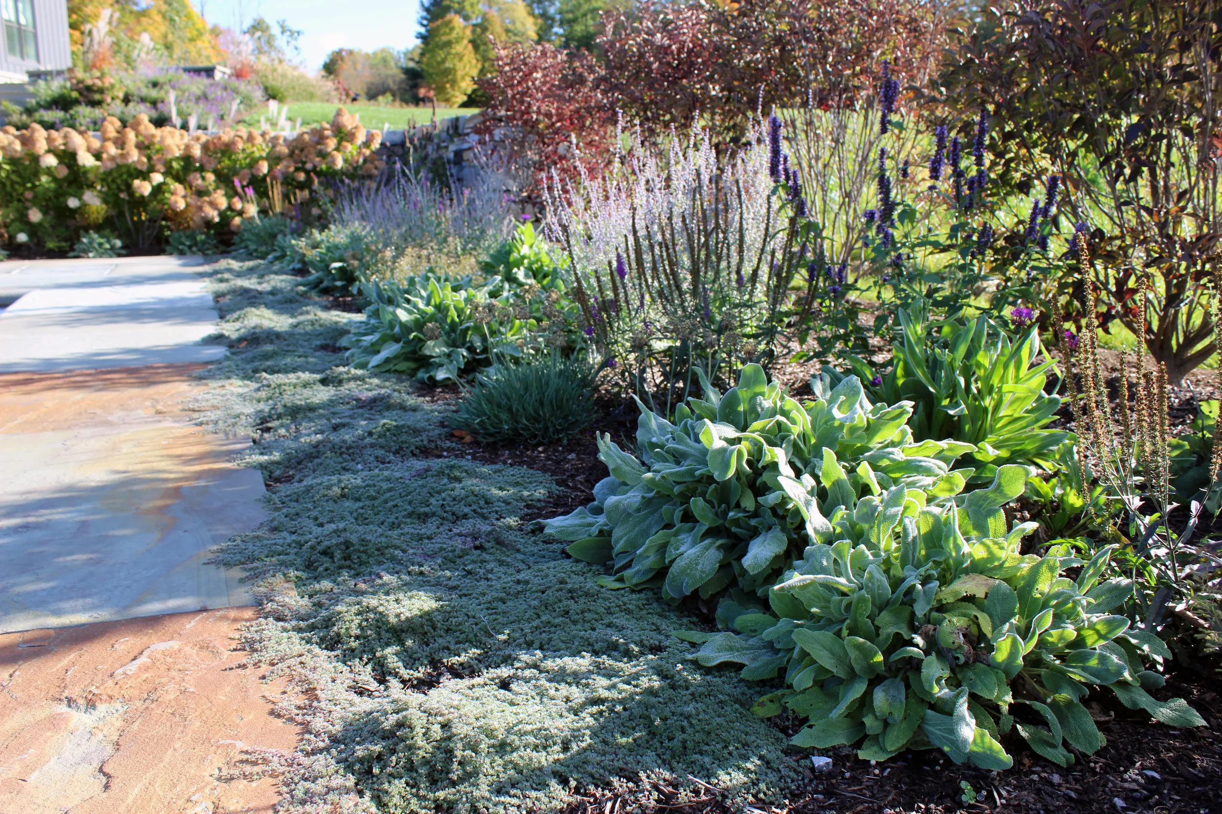 Planting detail.