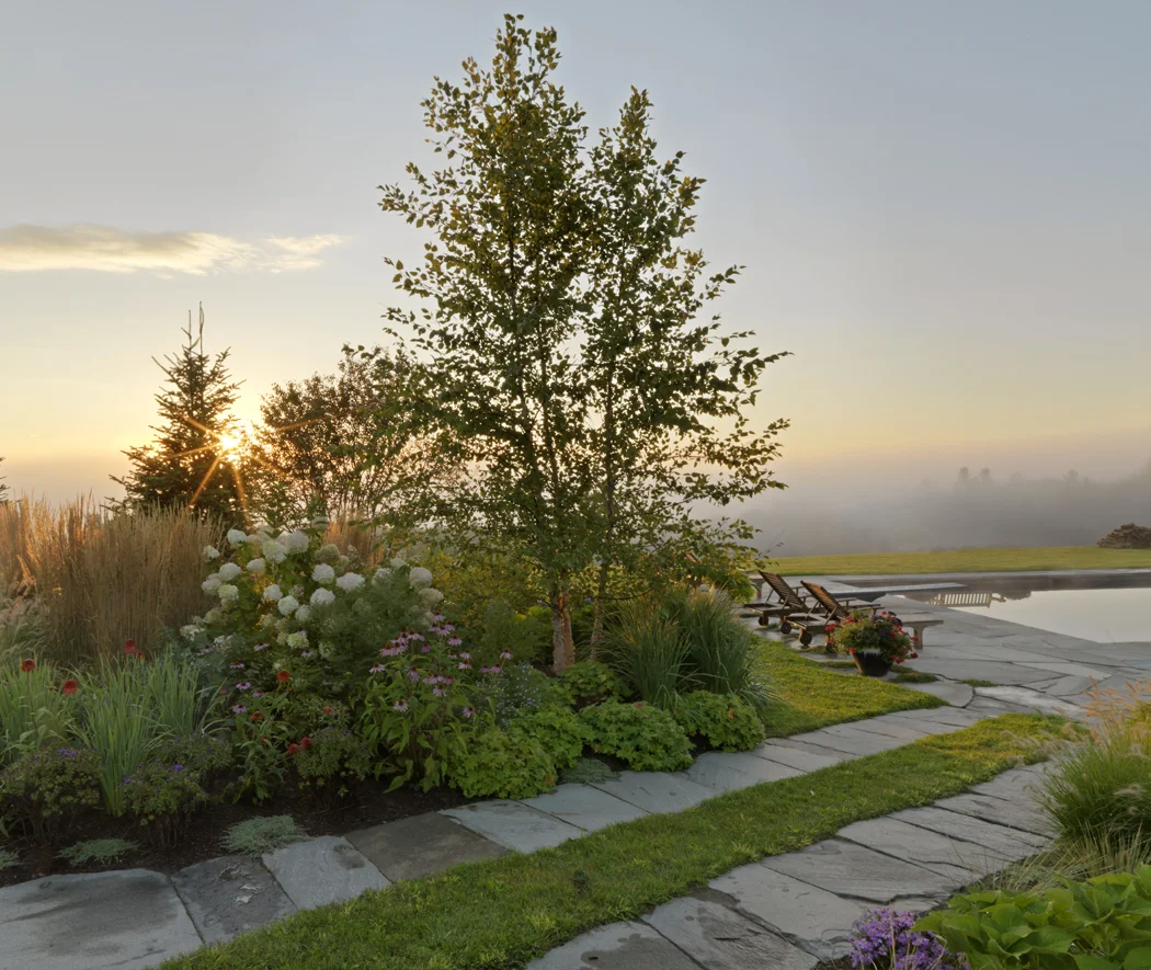 Plantings.
