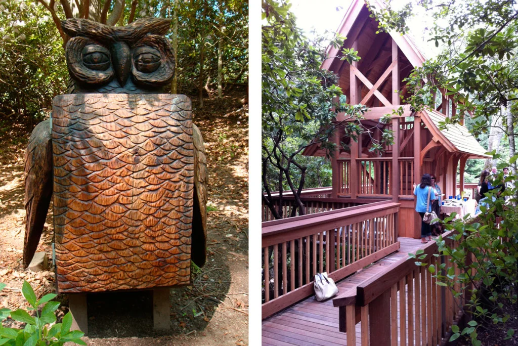 dHH_owl-and-treehouse-1024x684.jpg