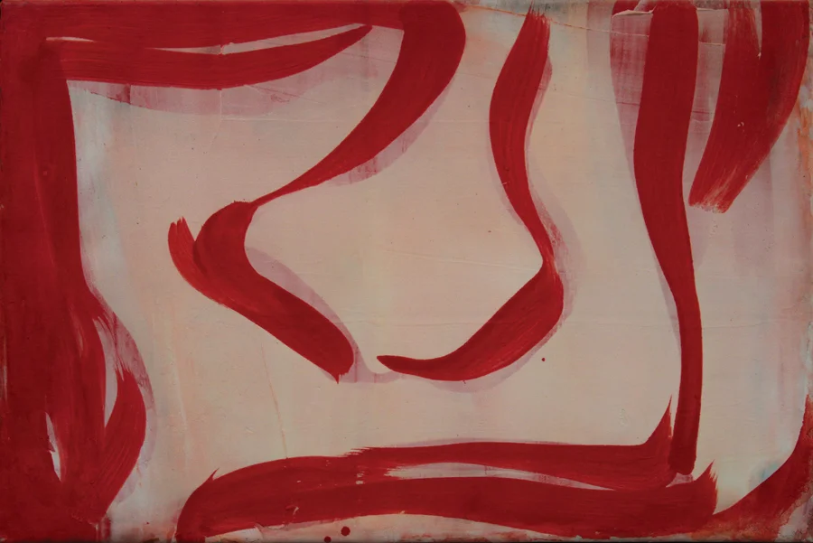 "Skein" 2002: acrylic on canvas, 37 x 57cm