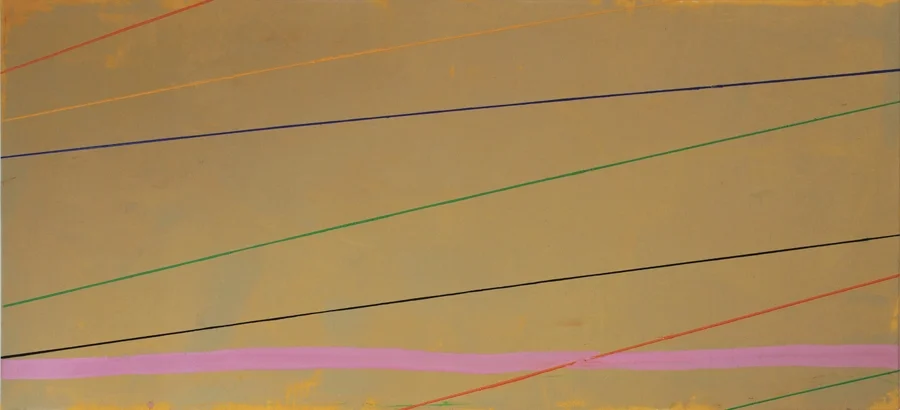 "Sidewinder" 2008: acrylic on canvas, 78.5 x 176cm