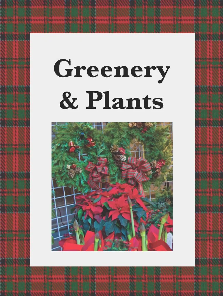 AD+Use+Greenery%3APlants+Plaid+Border.jpg