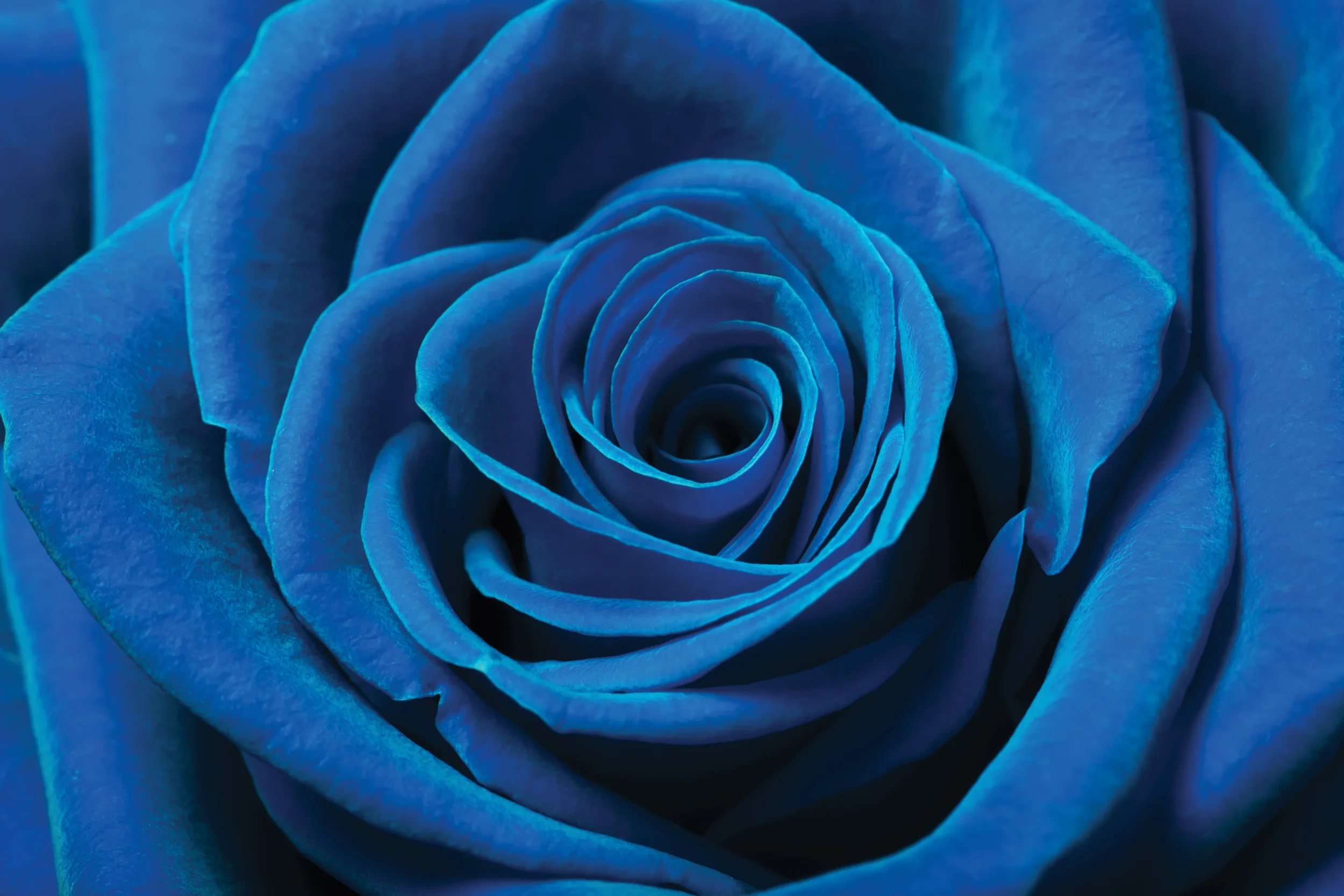 Juniata Theatre: The Glass Menagerie by Tennessee Williams