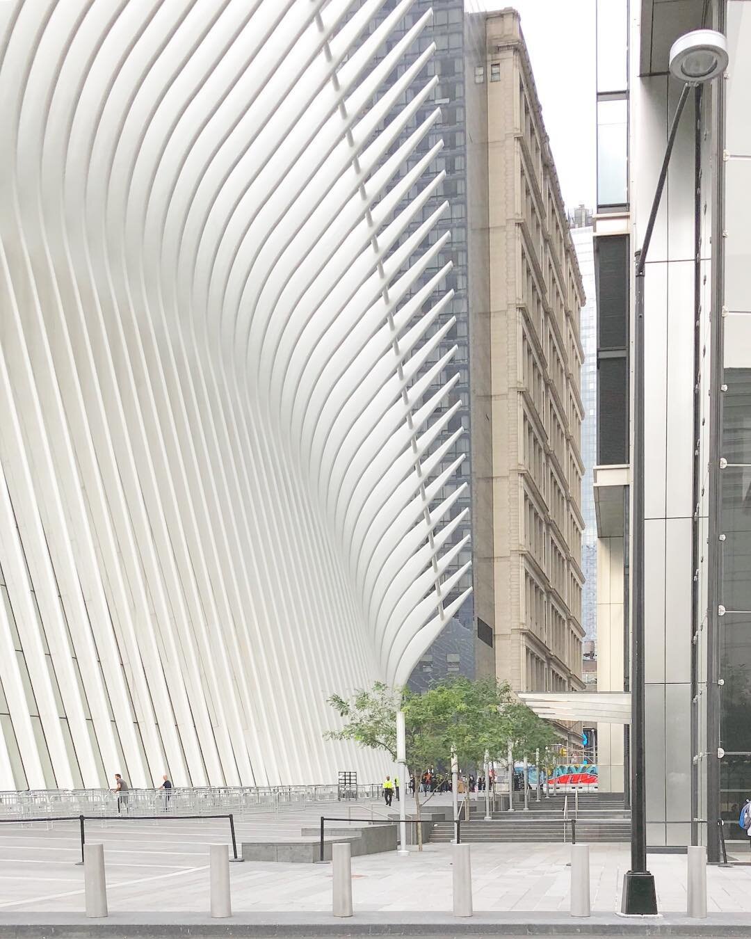 outside shell of the oculus at WTC #kreativly #places #wtc #architecture #rhythm