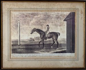 Lithograph of Lord Clermont's Horse