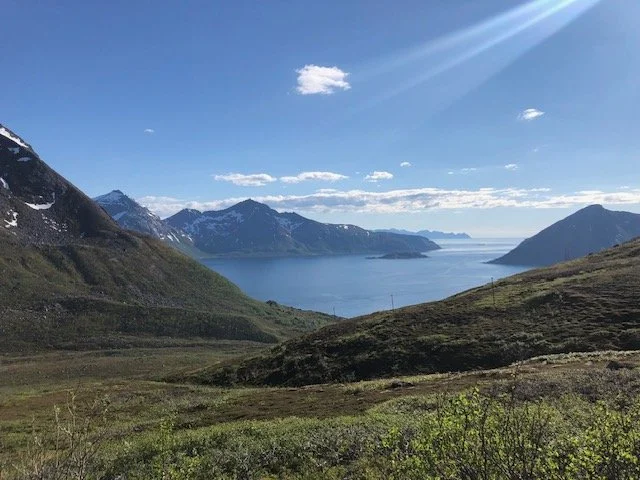 Nordic Landscape.jpg