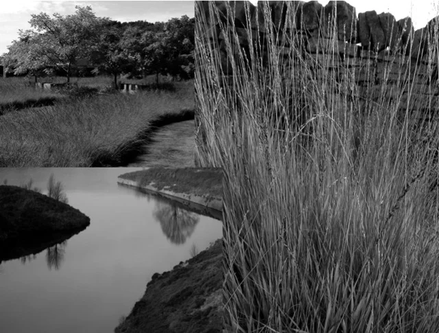 Expansiveness and simplicity of moorland reservoirs and grasses.