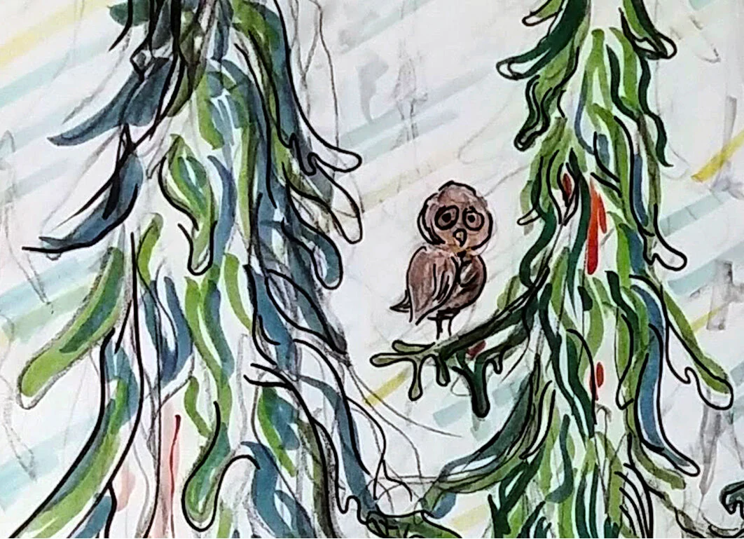 Now You See Me -OWL.jpg