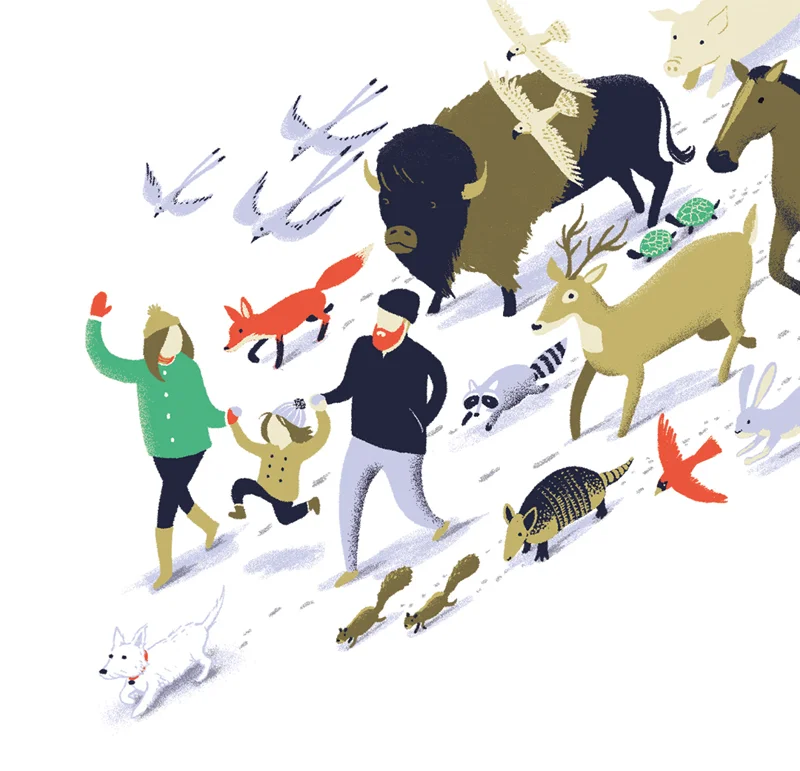 Winter Adventure