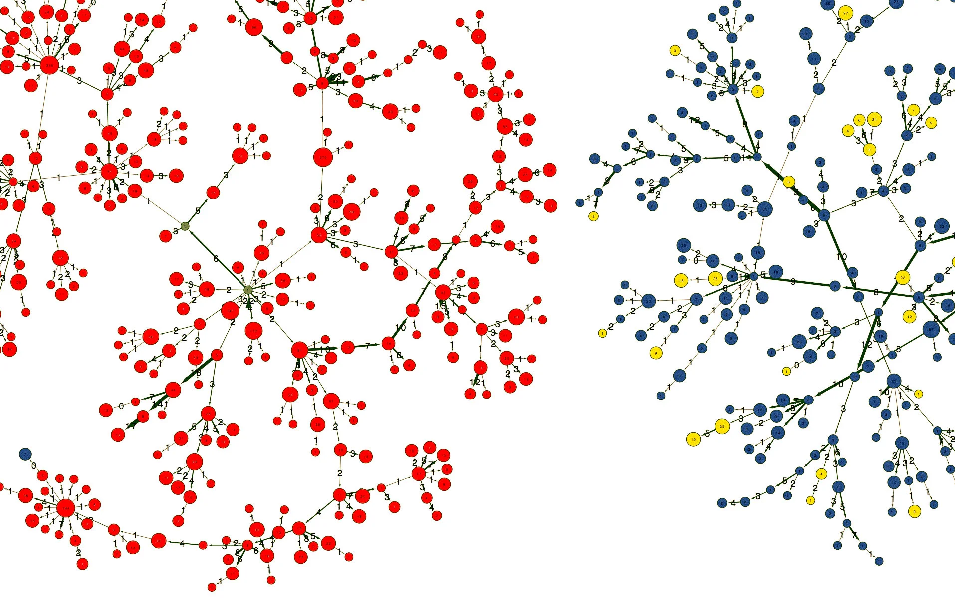Flu antibodies in a single blood sample: your body's immune defense against influenza. These antibodies have been sorted into families, and as you can see, hundreds of lineages are found in a single drop of blood.