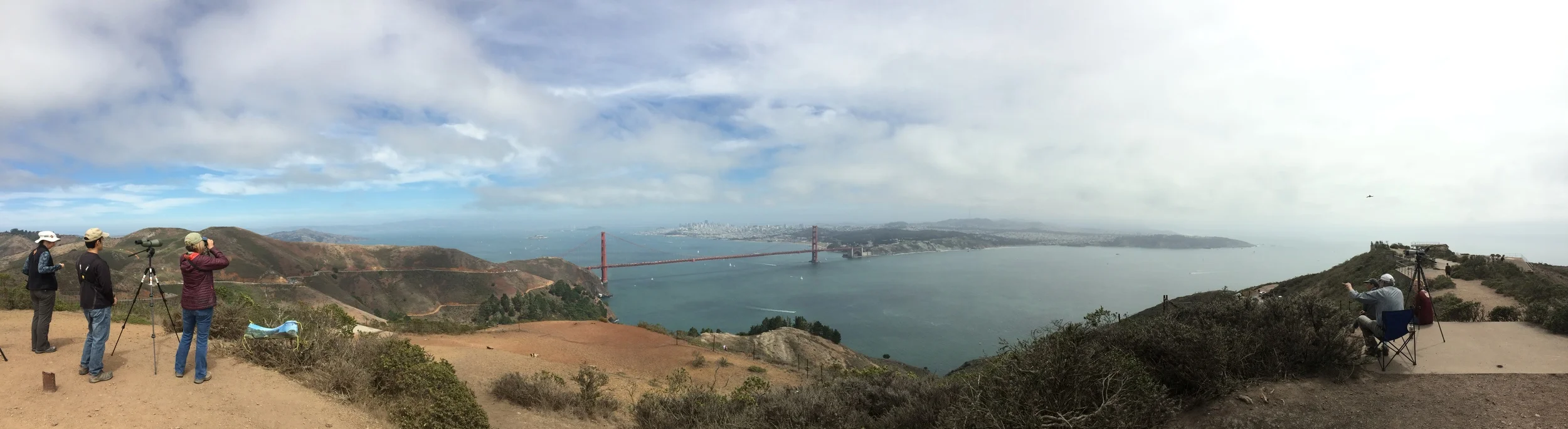 The view from Hawk Hill