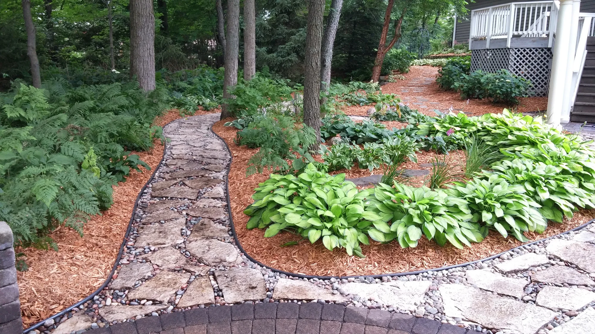 20140718_132801.jpg