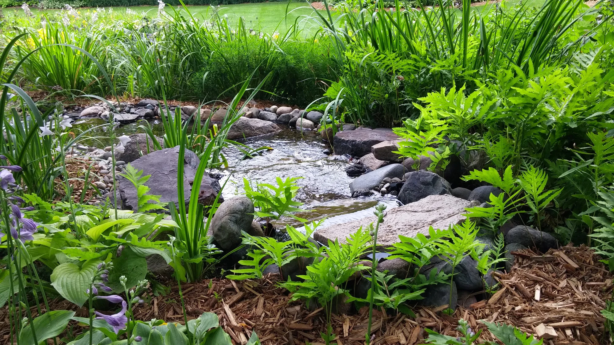20140718_132732.jpg