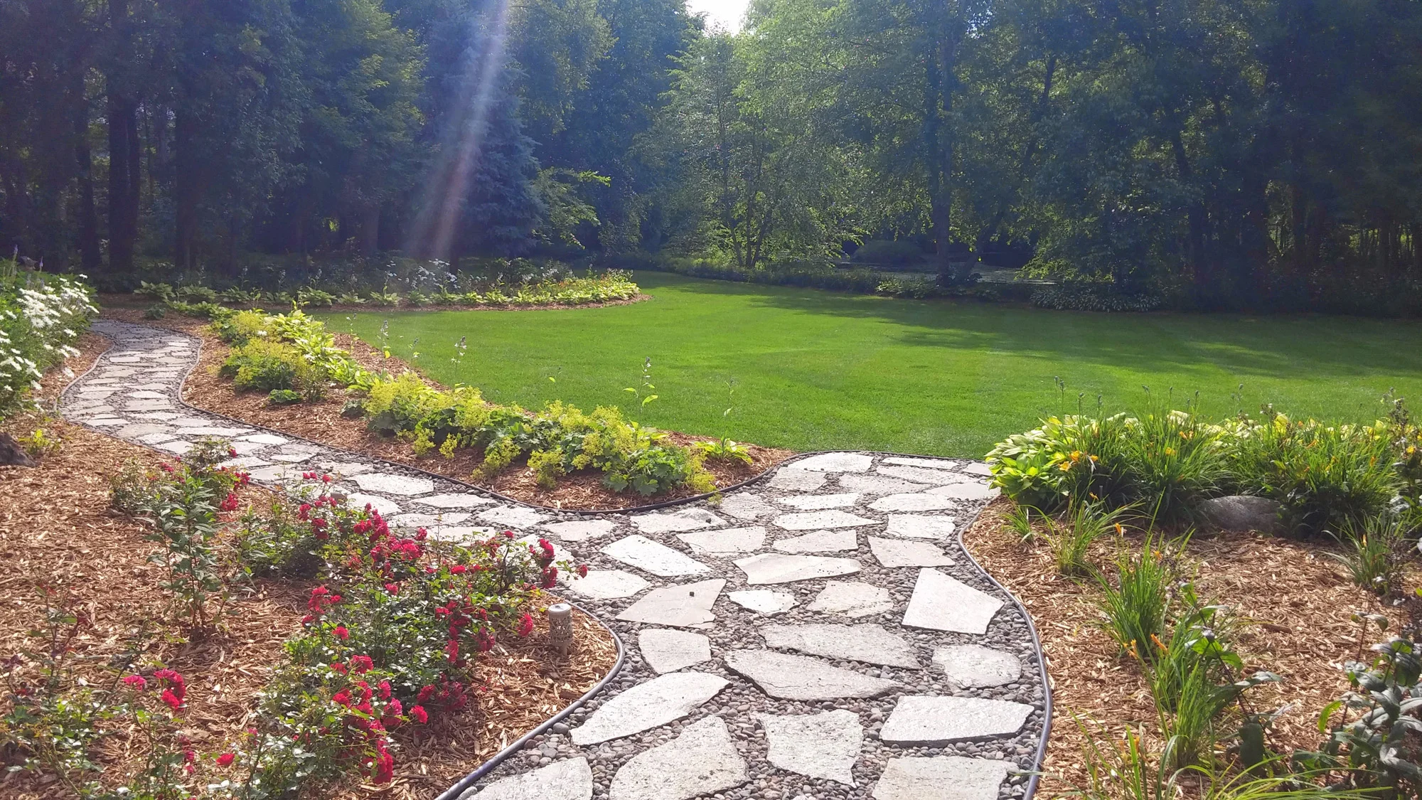 20140718_093217.jpg