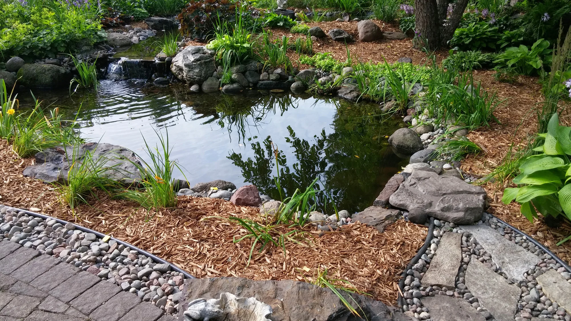20140718_093636.jpg