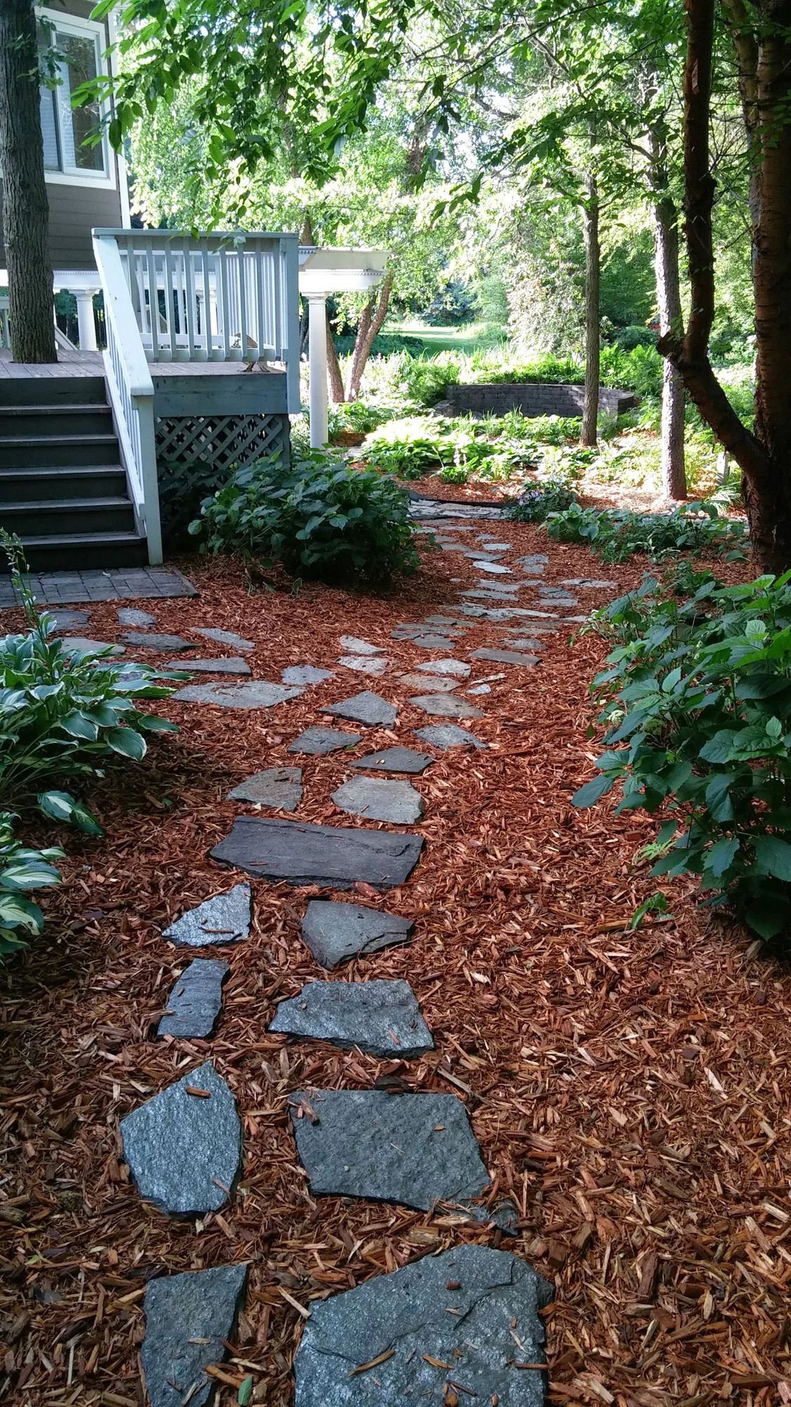 20140715_075805.jpg