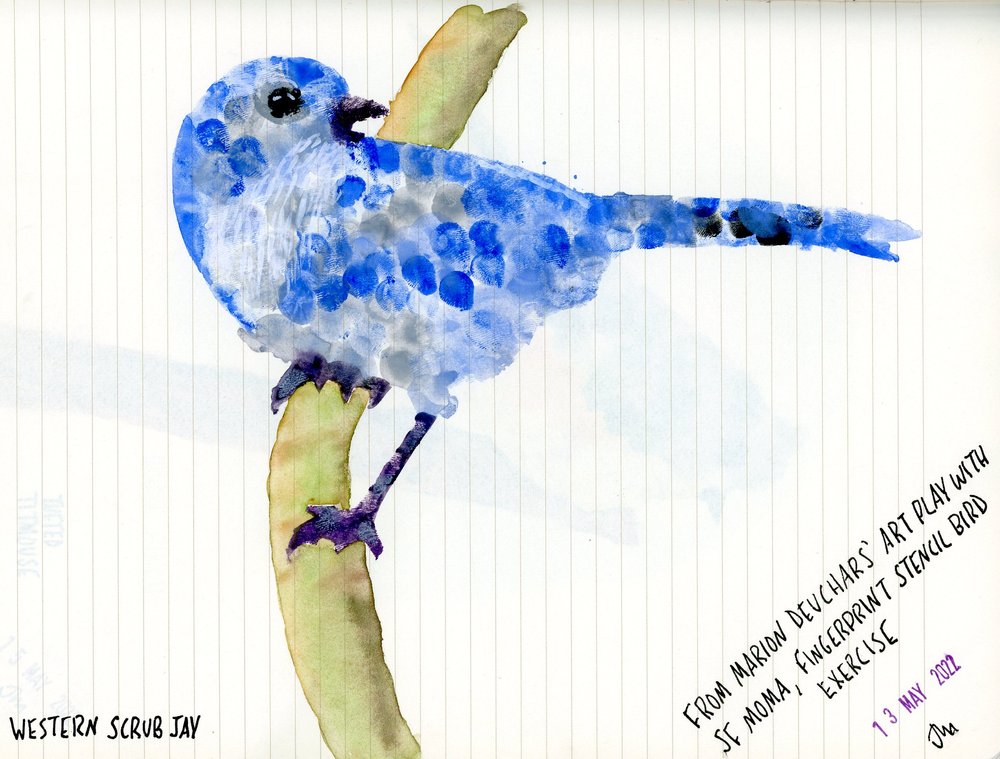 fingerpainting_westernscrubjay002.jpg