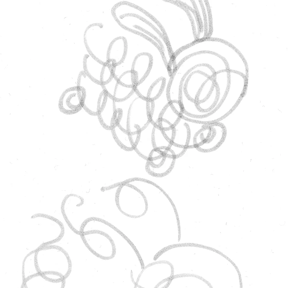 Lots of doodle dust balls