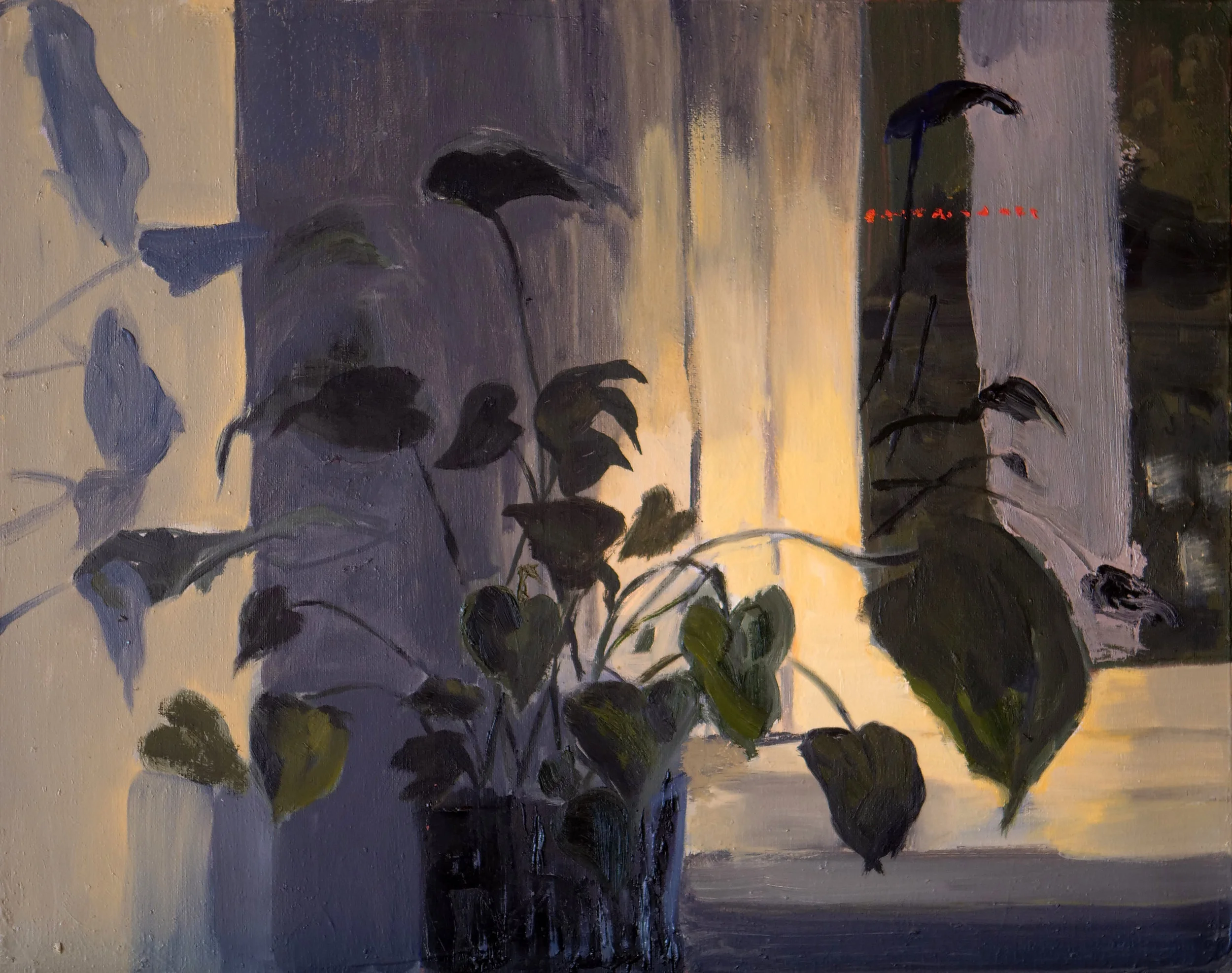 Plant with shadows at night in Boston, oil on canvas (16"x20")