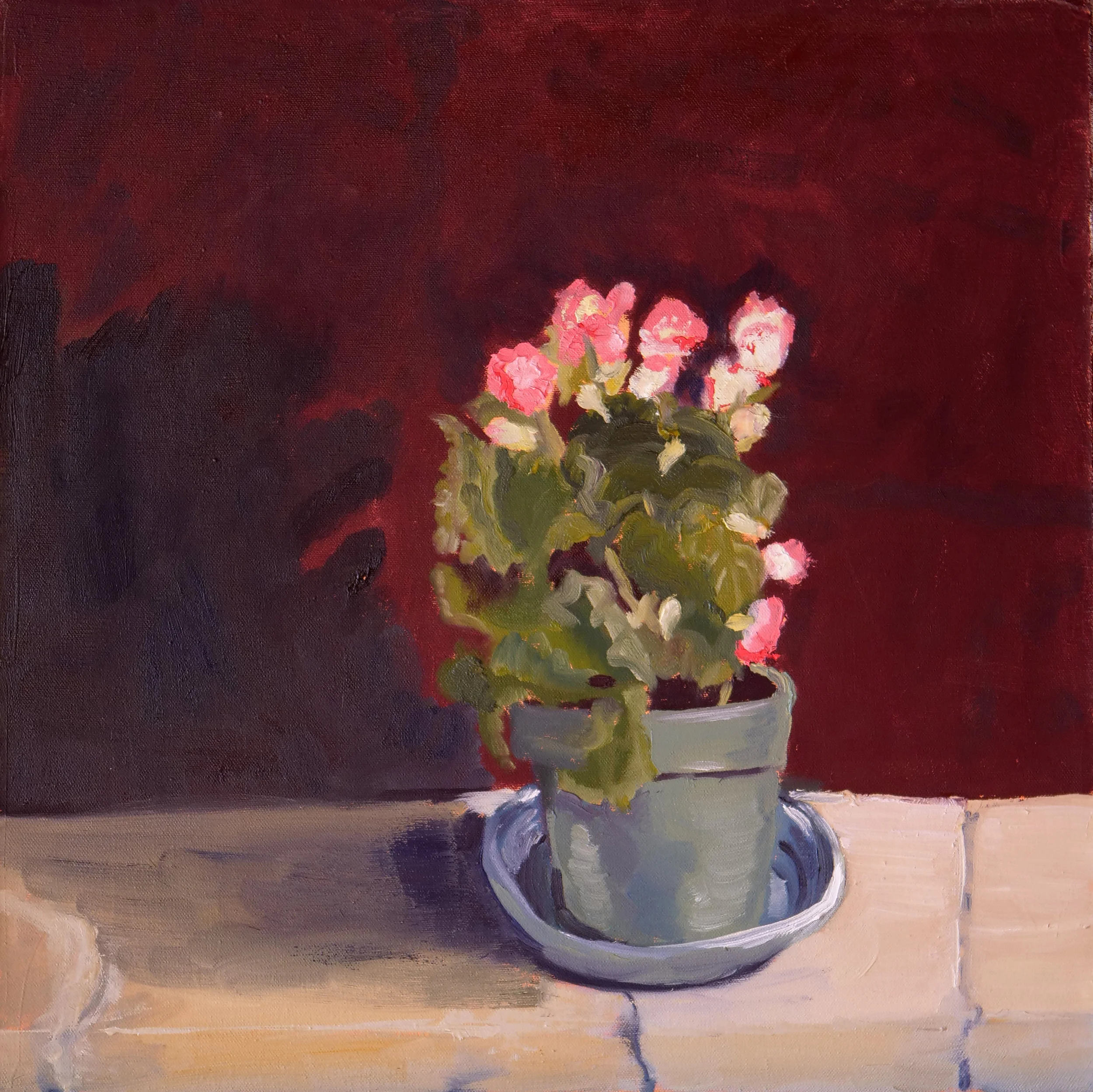 Plant, oil on canvas (18"x18")