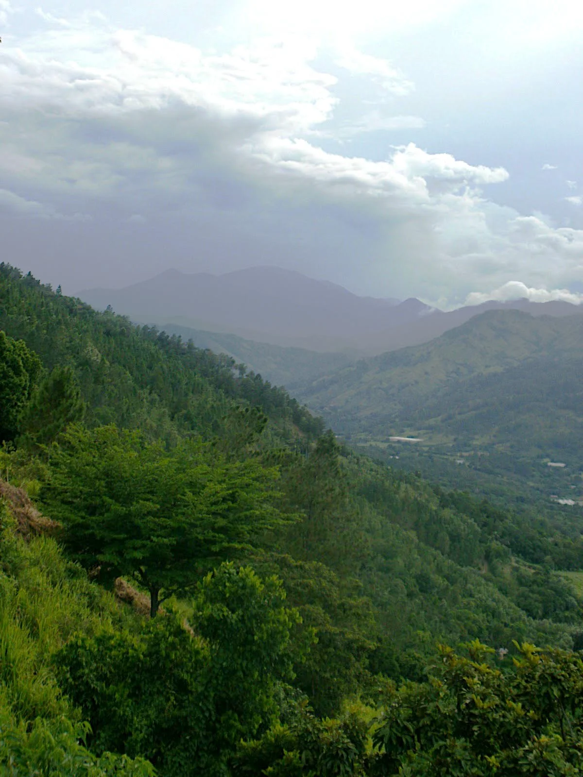Jamaca de Dios