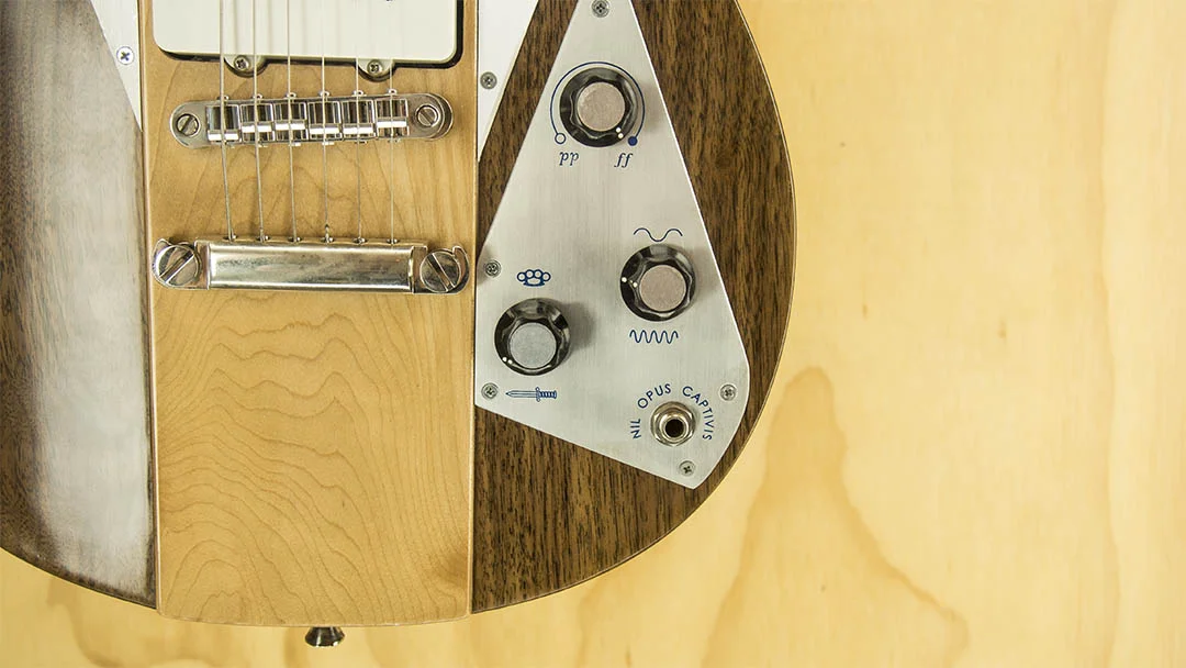 Guitar Control Plate