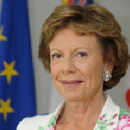 Neelie Kroes VP European Commission