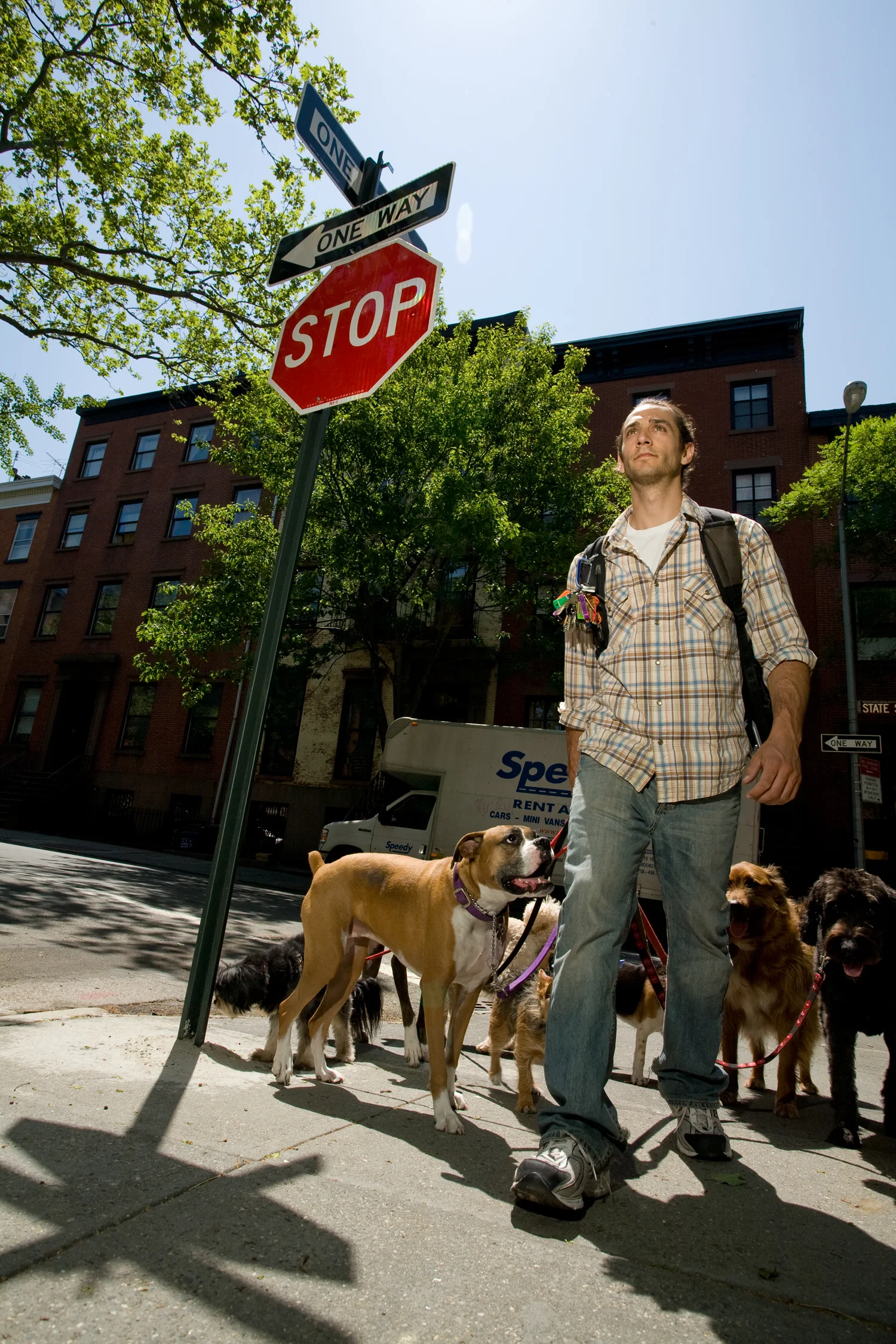 Copyright 2011 The Peaceful Pack, Inc (photo by Mark Anderson). All rights reserved.