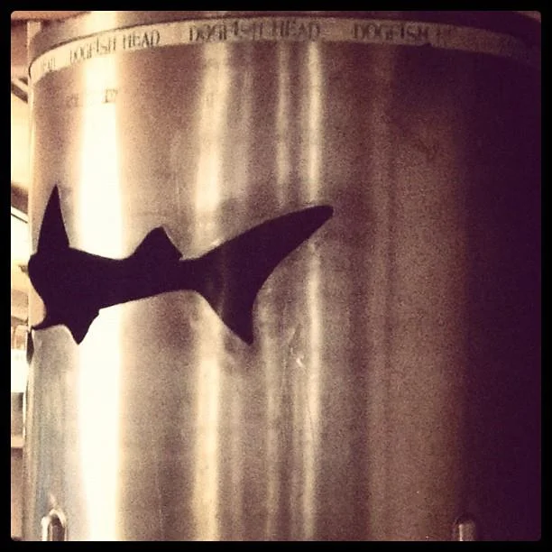 409156_422839564970_1090001078_n.jpg