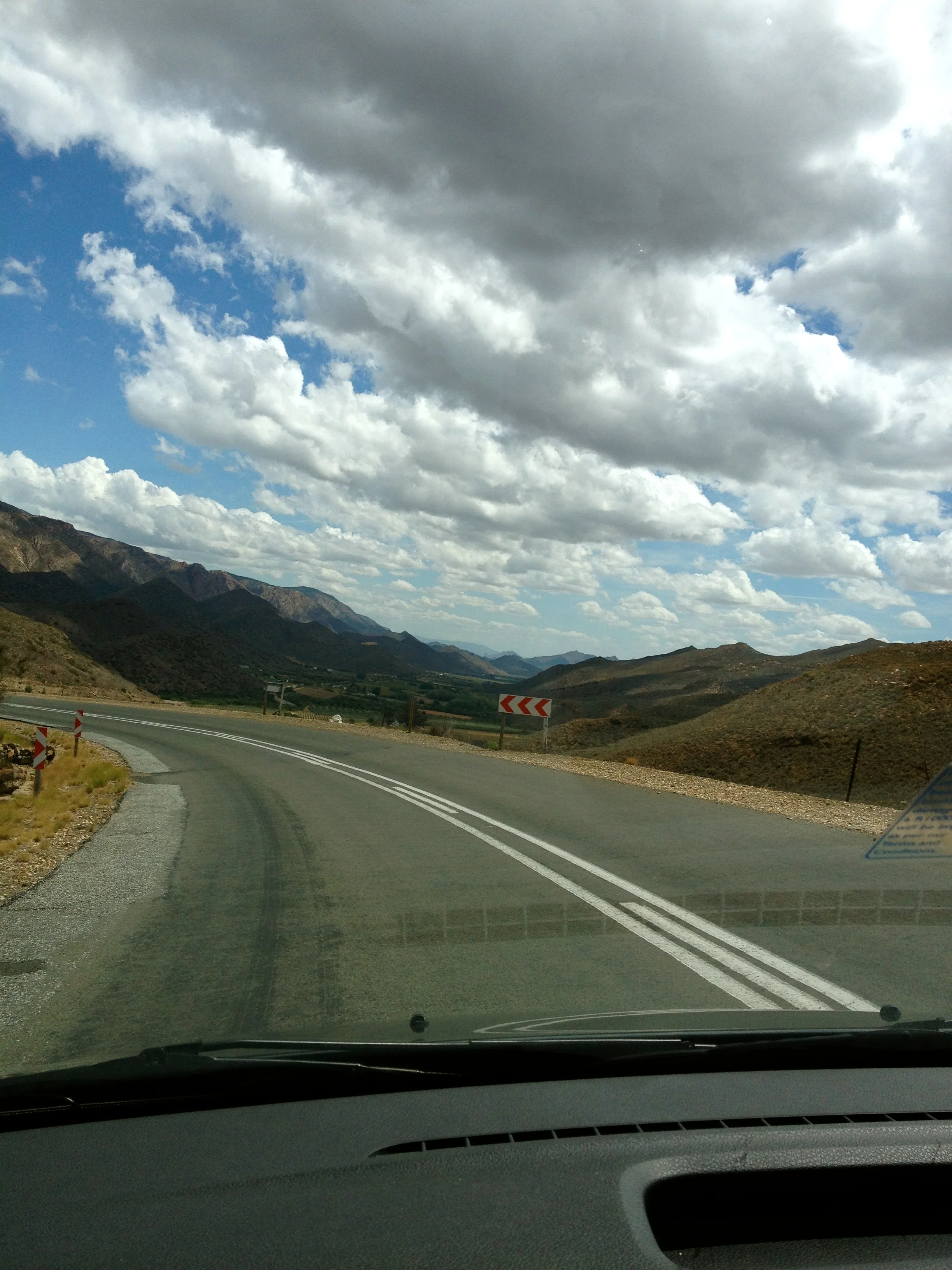 IMG_1431.jpg
