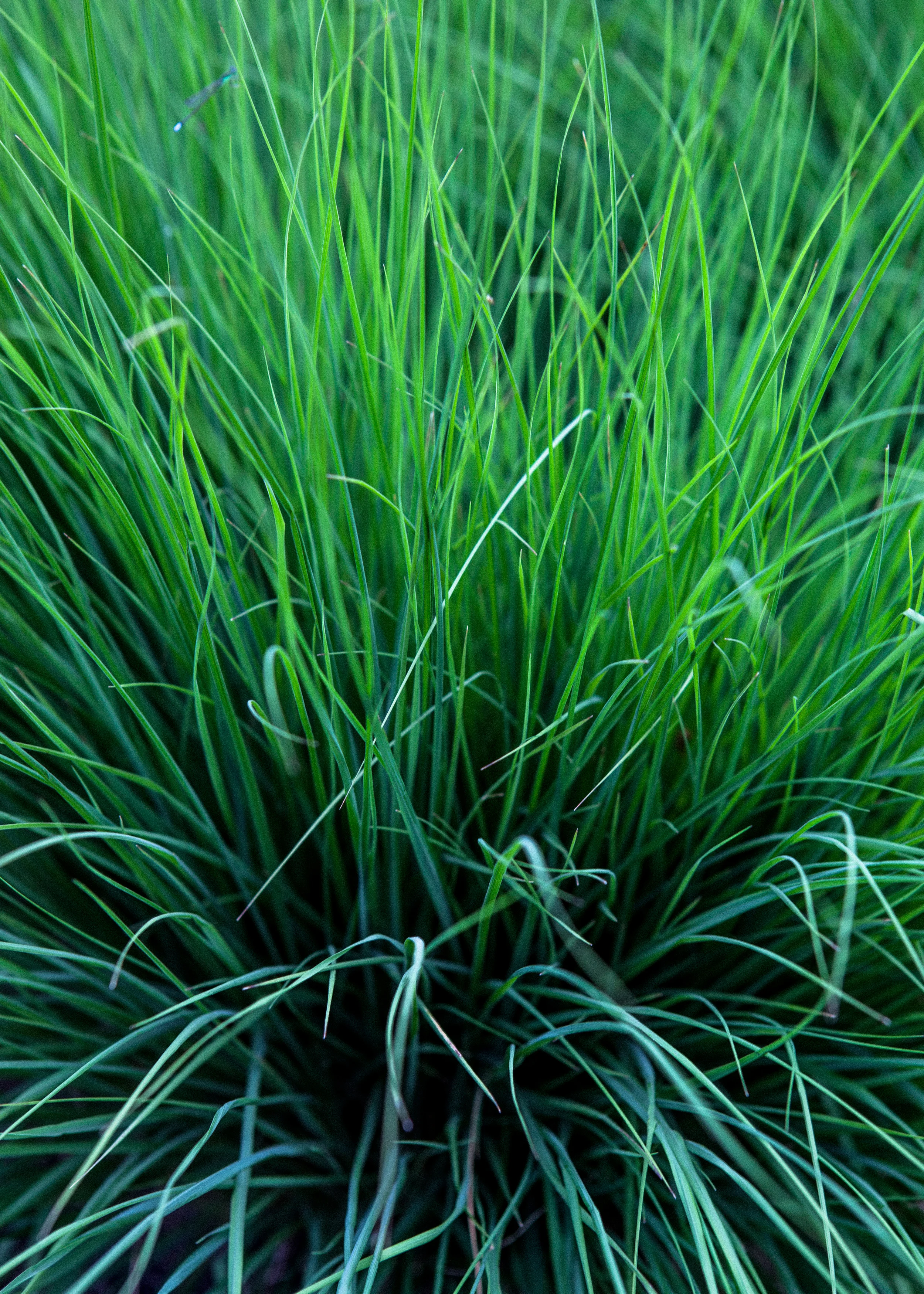 Texture005.jpg