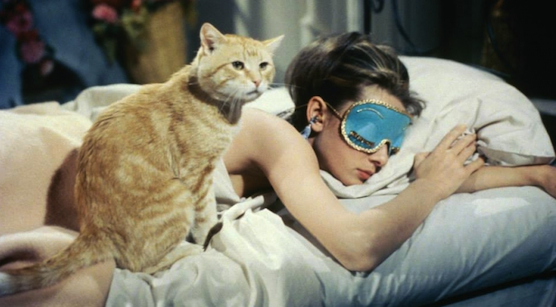 14. Cat.jpg