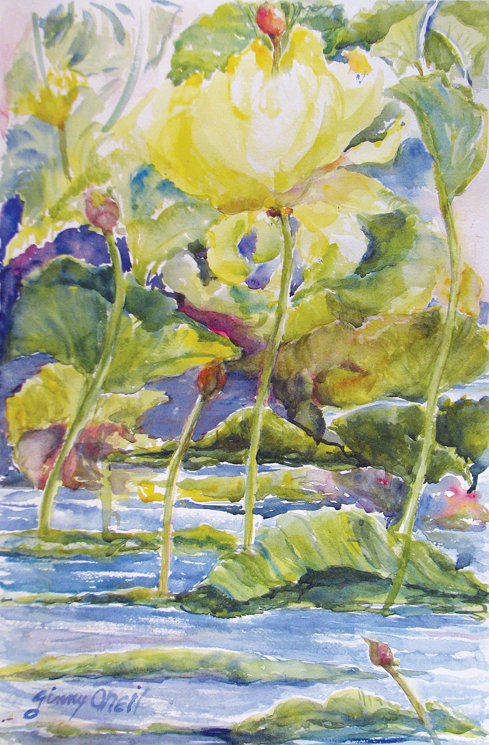 Lotus on the Pond