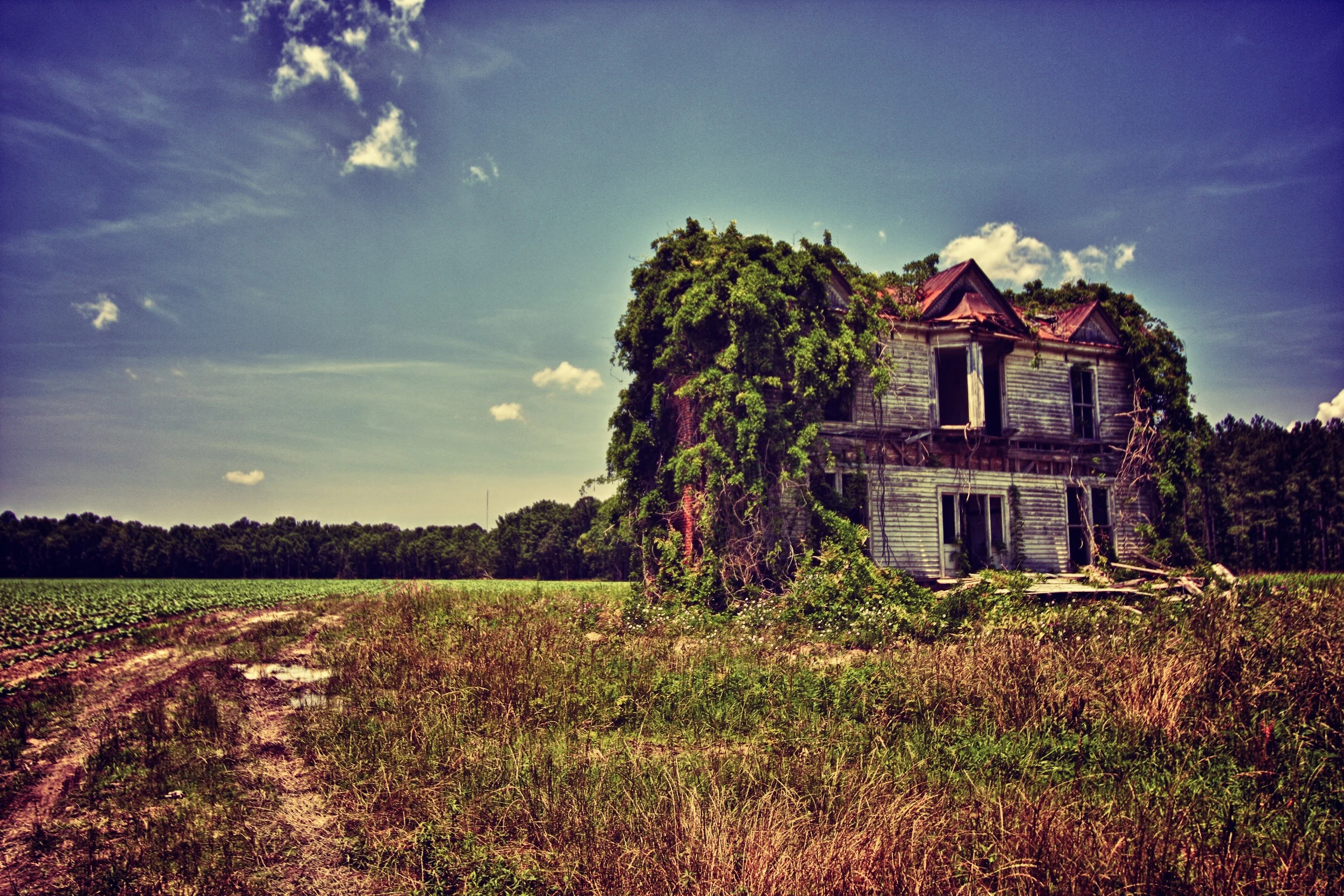 IMG_7243_HDR.jpg
