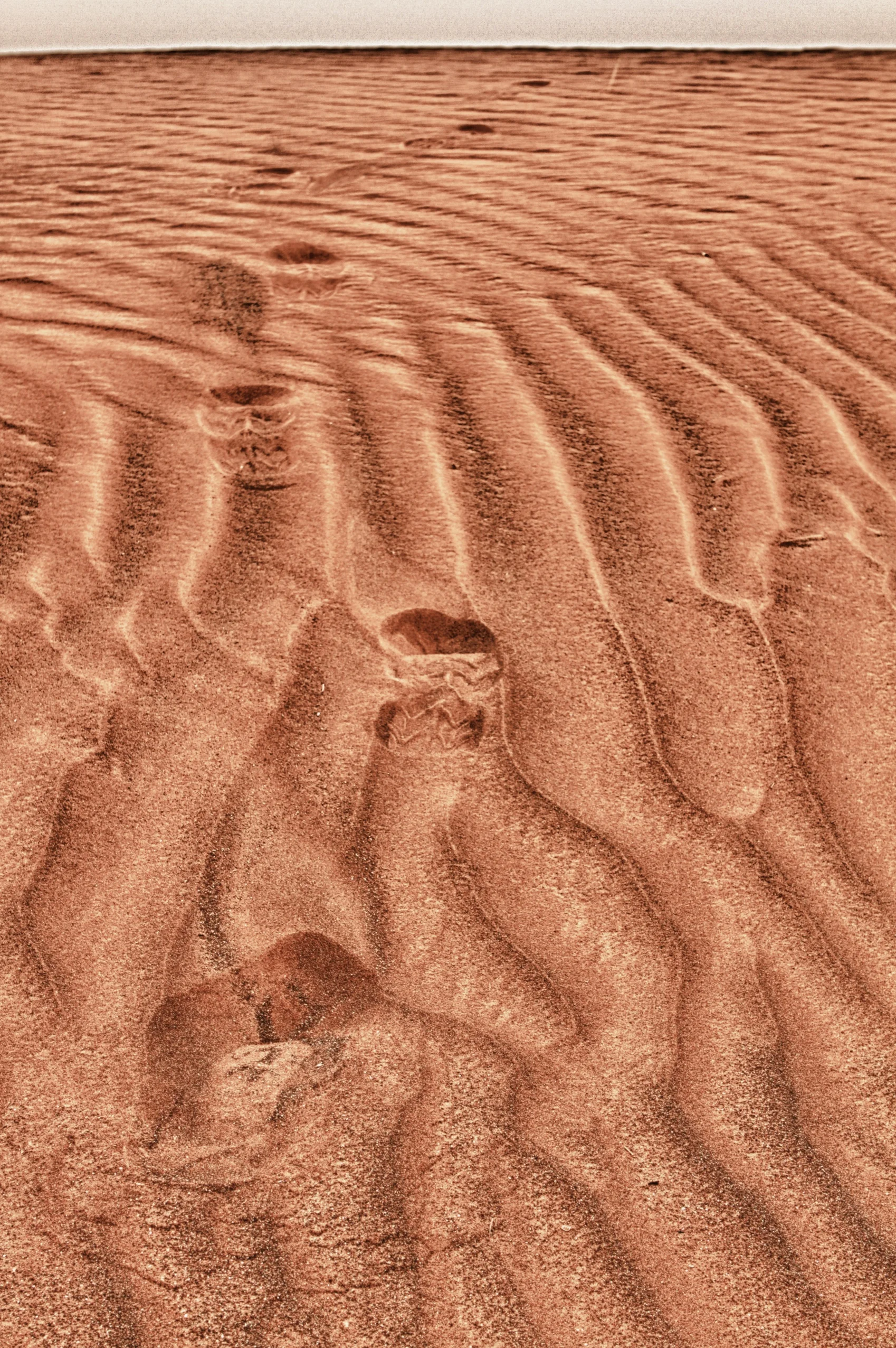 IMG_5711_HDR - Version 2.jpg