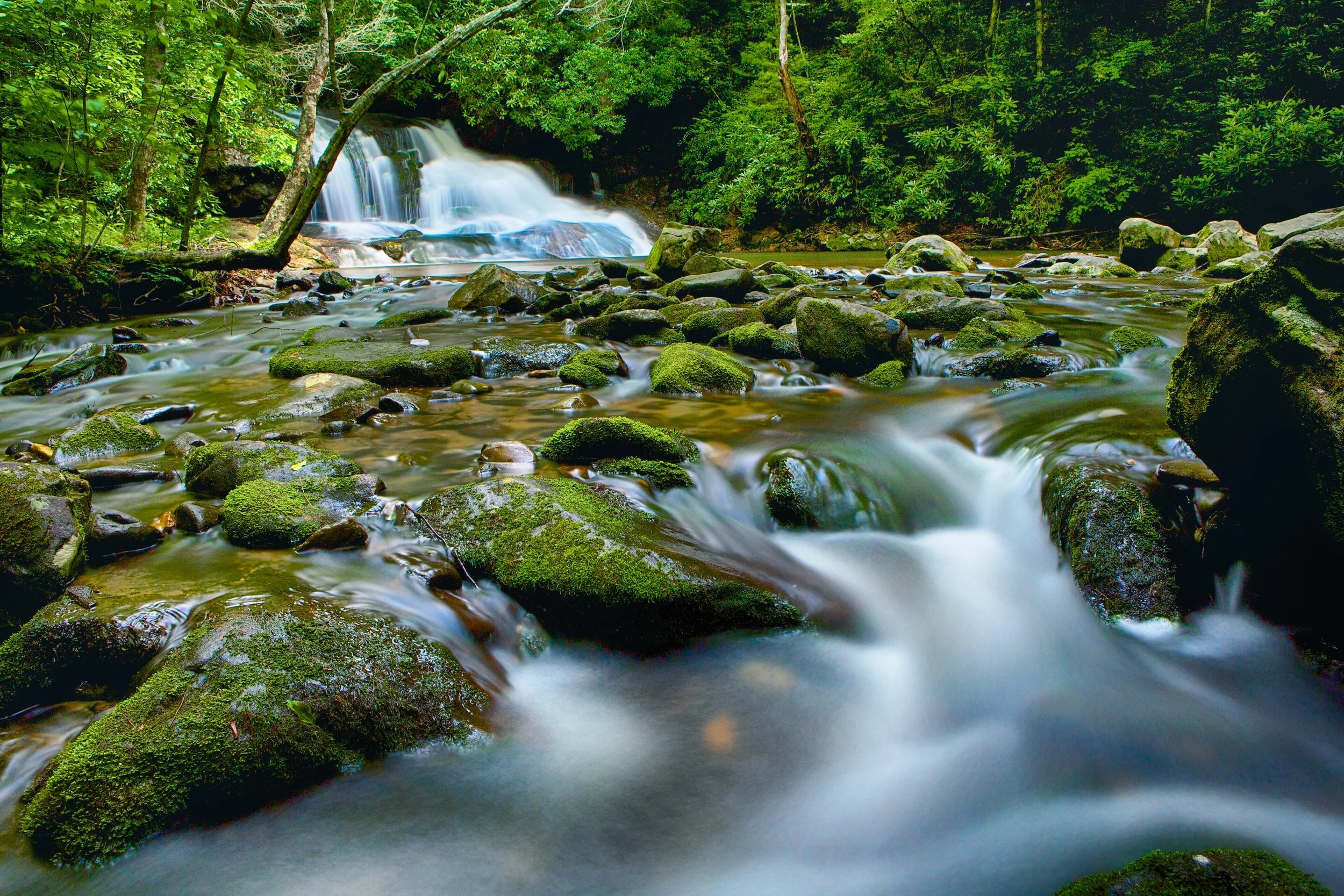EE4A0432_HDR.jpg