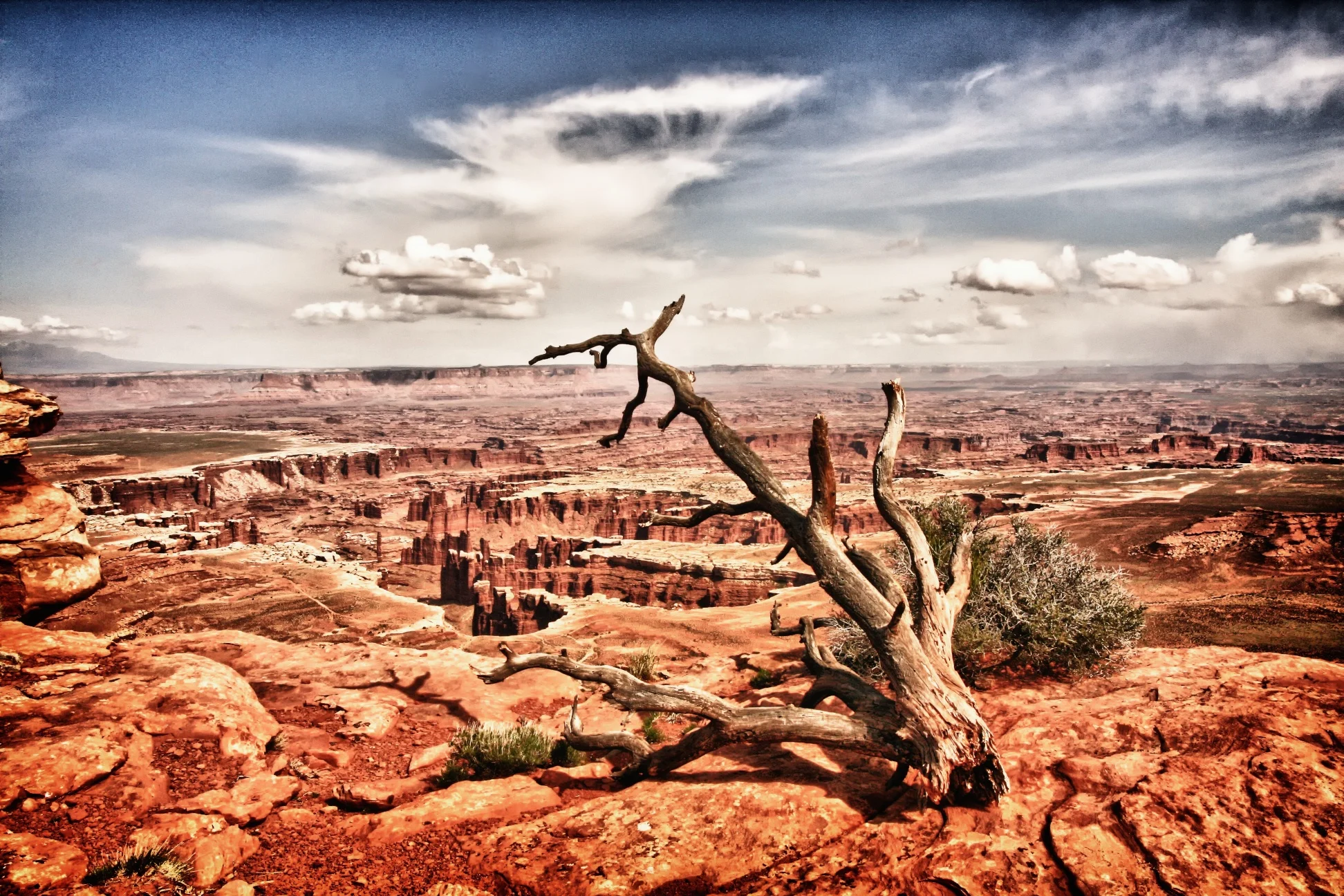 IMG_1668_HDR.jpg