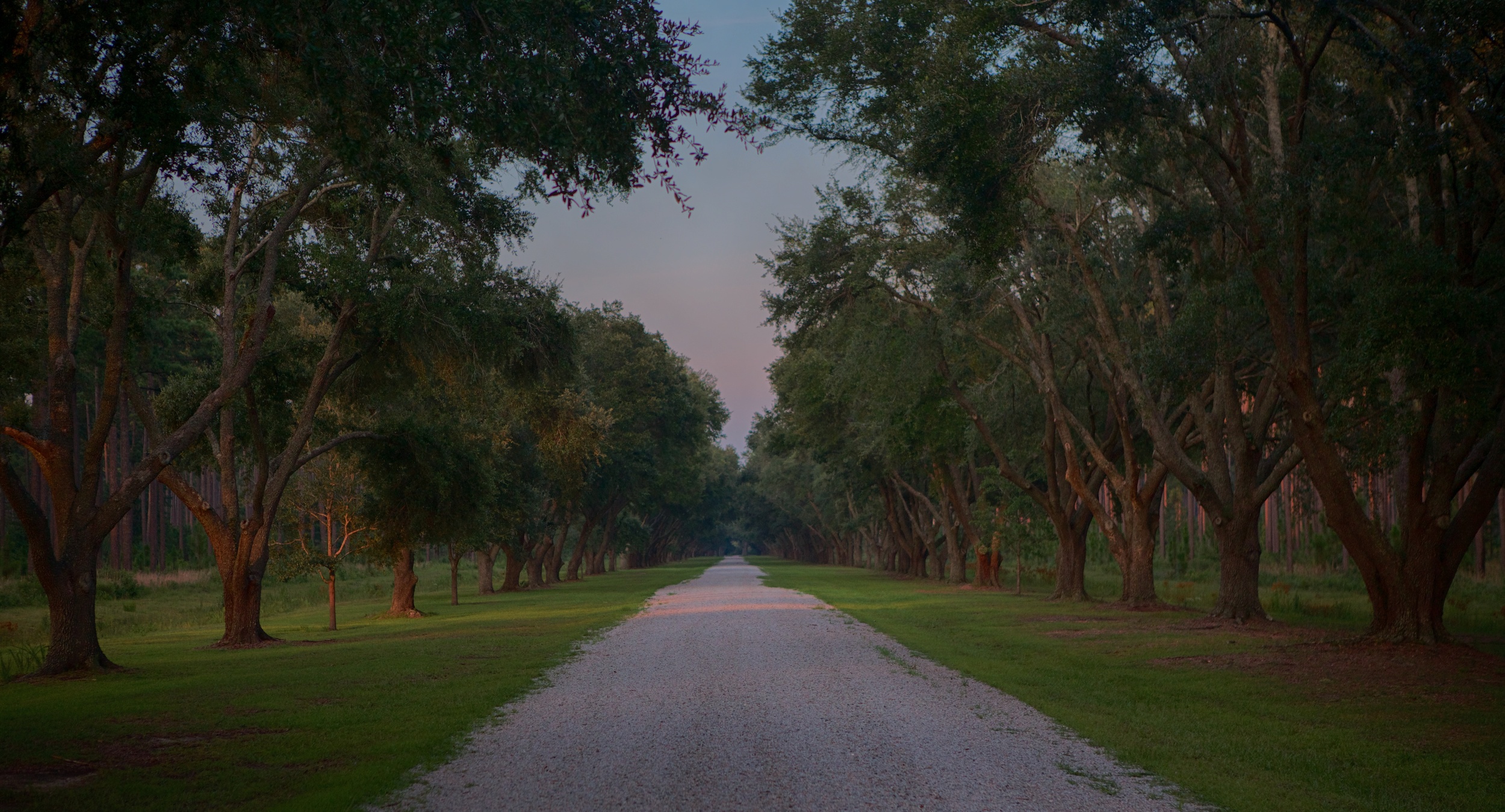 EE4A0620_HDR.jpg