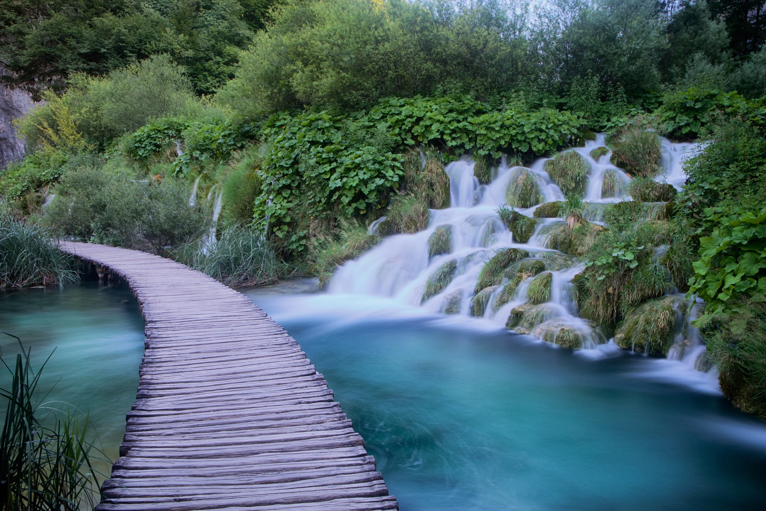 5Q6A0201_HDR_1.jpg